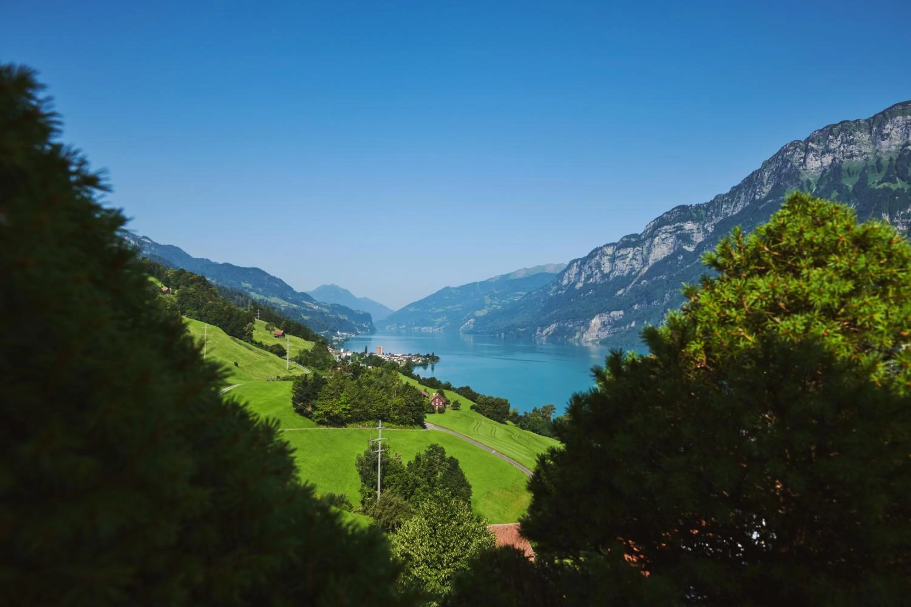 Natural landscape in Hotel Neu-Schönstatt