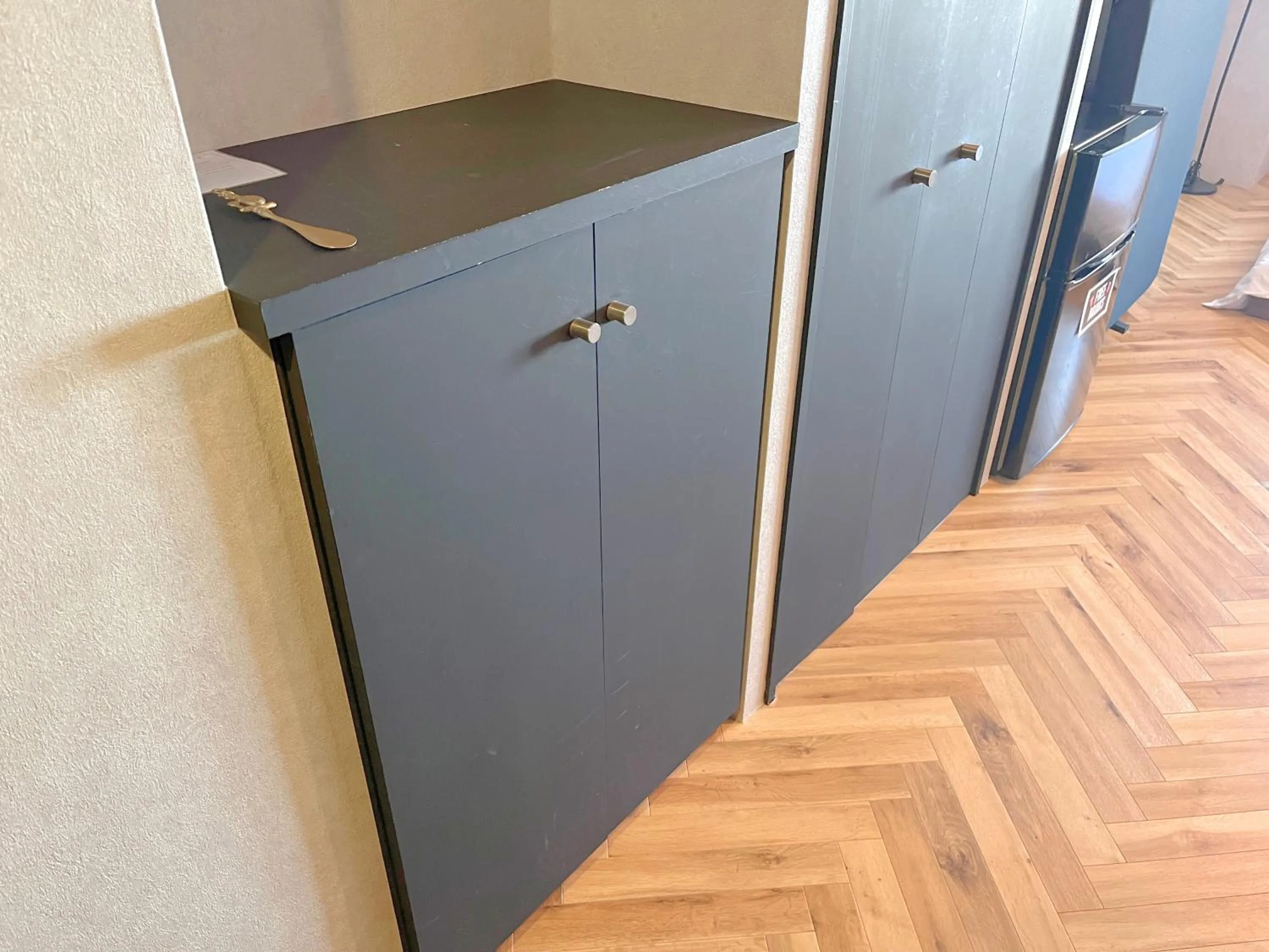 Photo of the whole room in Book Tea Bed SHINJUKU-GYOEN