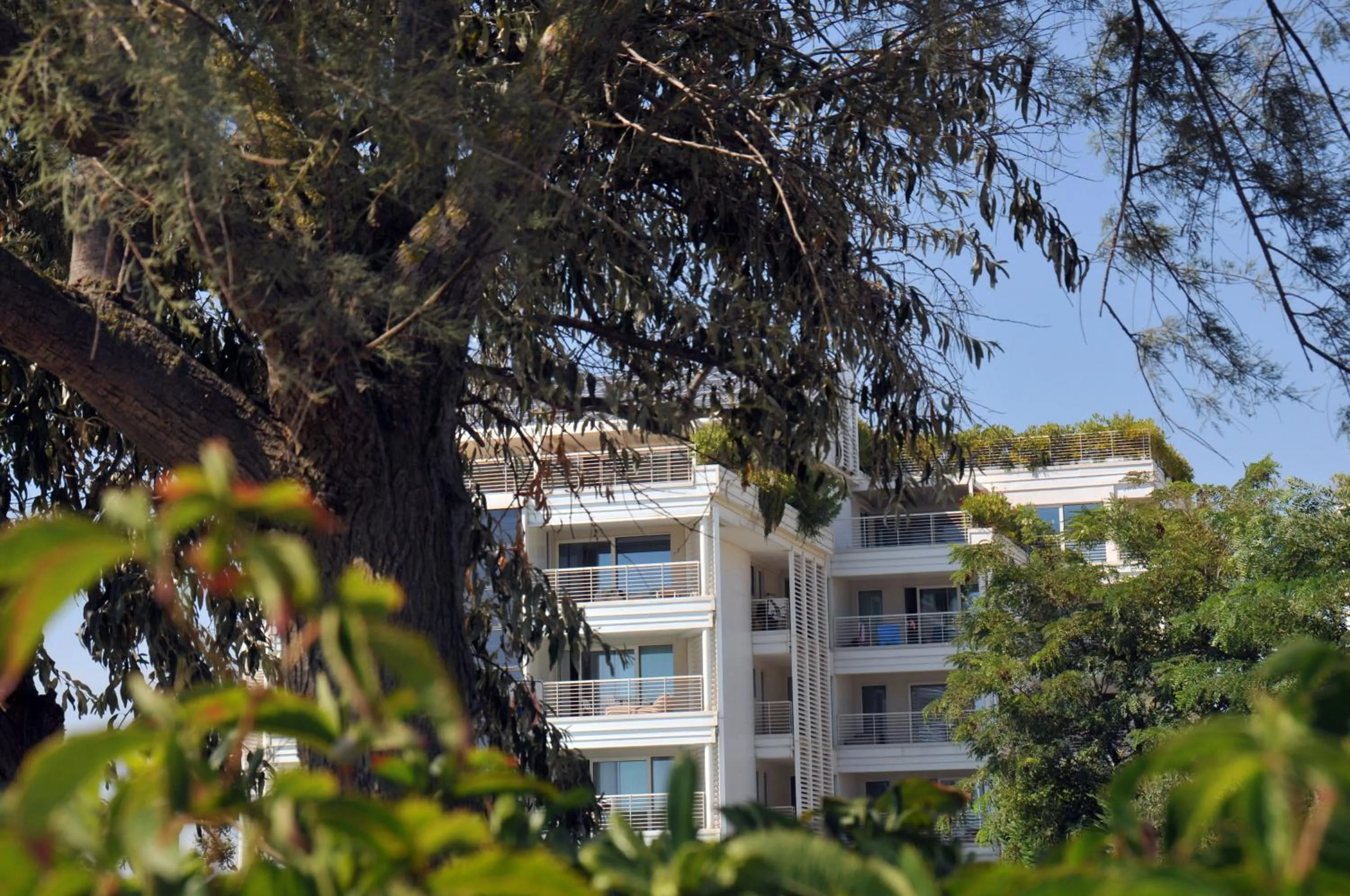 Property building in Marina Verde Resort Official