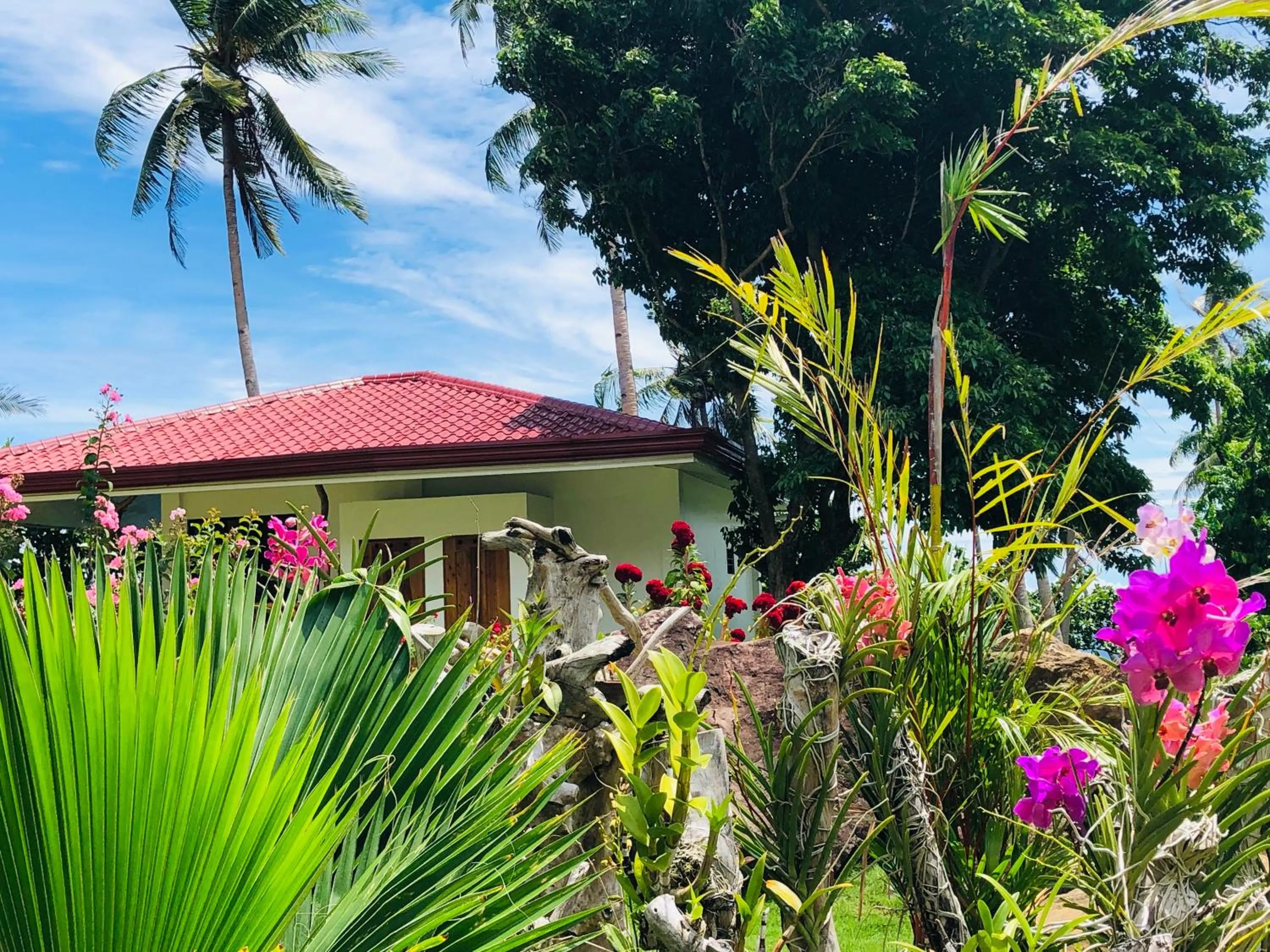Garden in Tongatok Cliff Resort