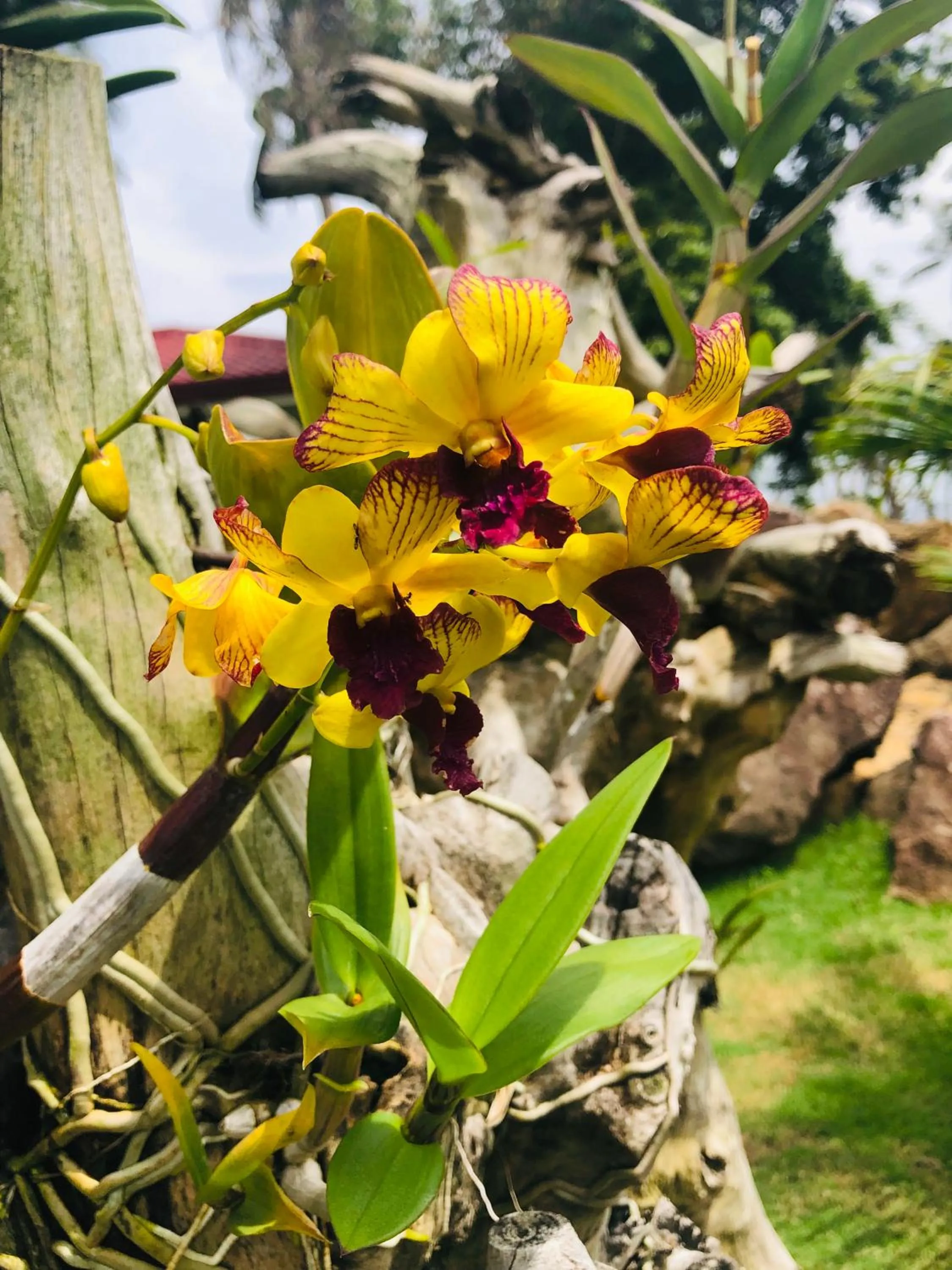 Day in Tongatok Cliff Resort