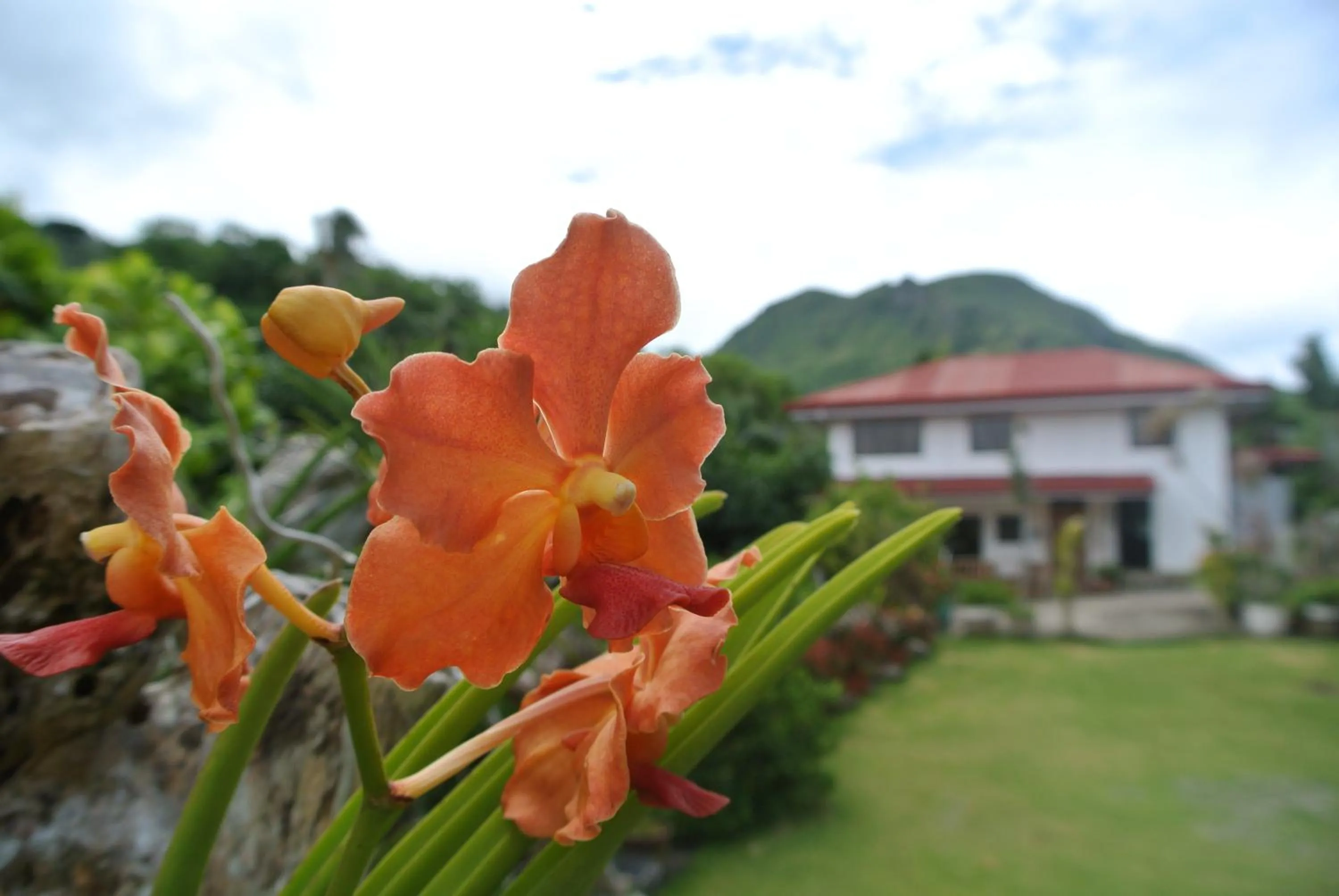 Garden in Tongatok Cliff Resort