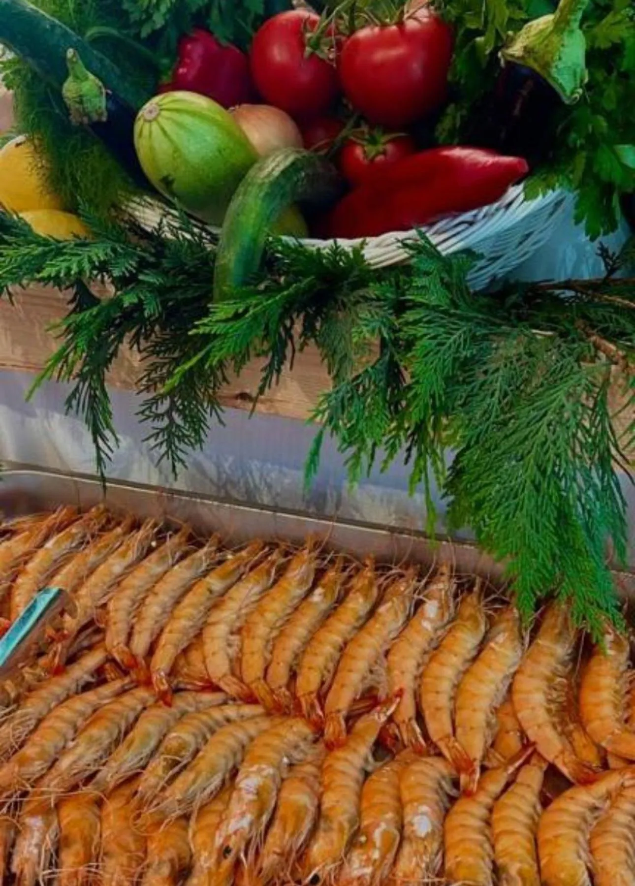 Food in VM Resort & SPA