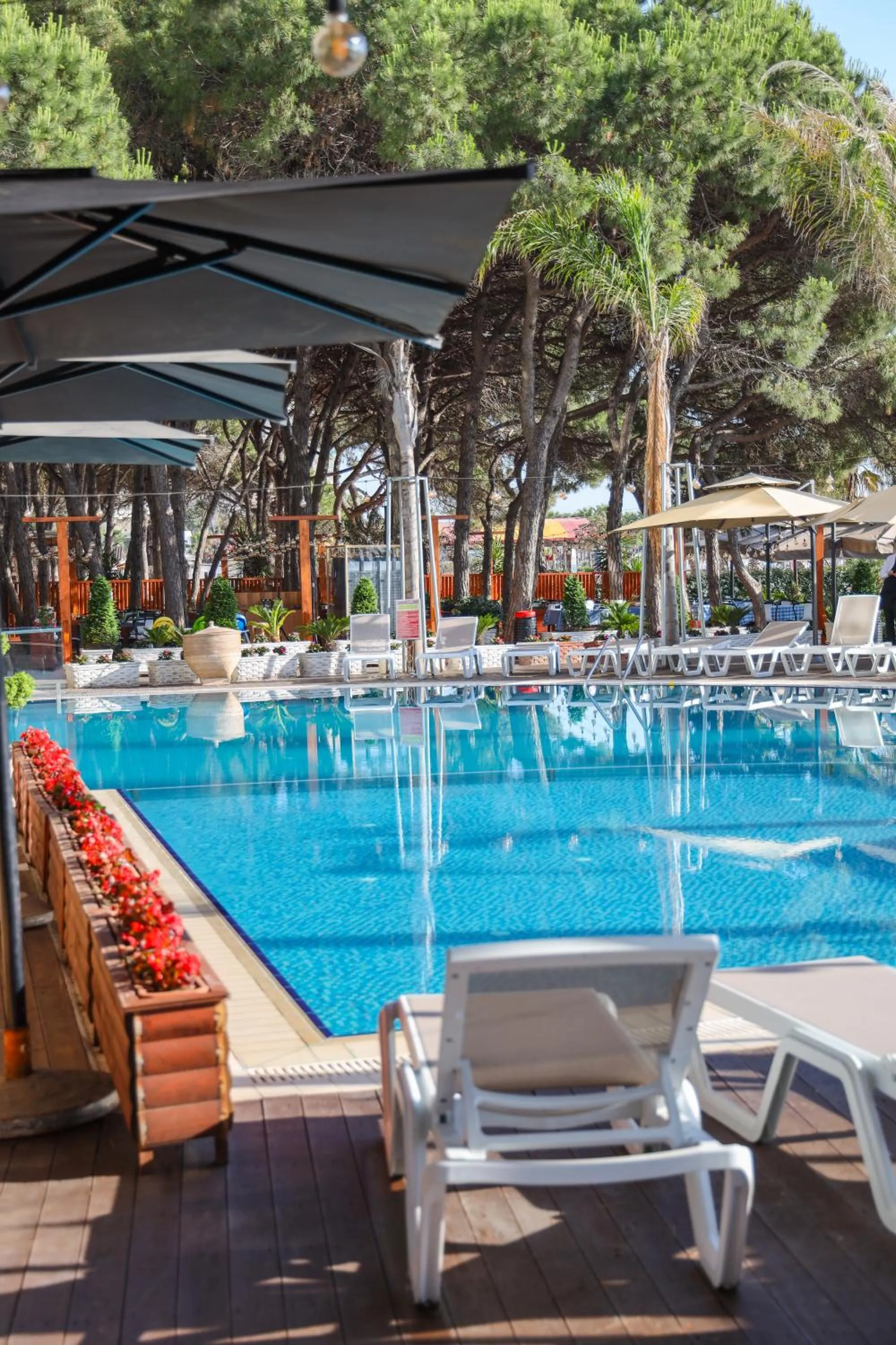 Day in VM Resort & SPA