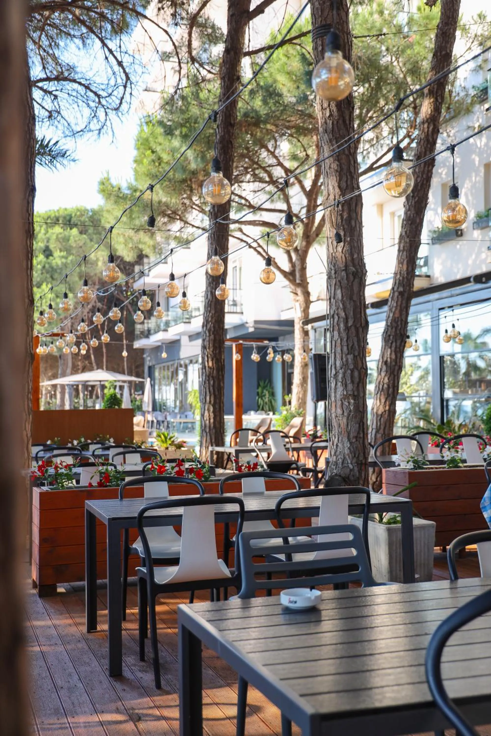 Restaurant/places to eat in VM Resort & SPA