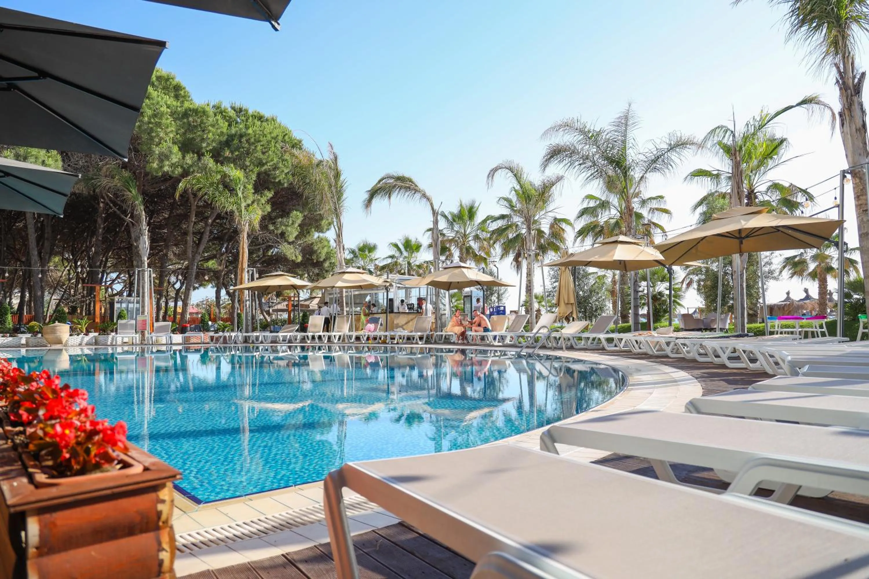 Day in VM Resort & SPA