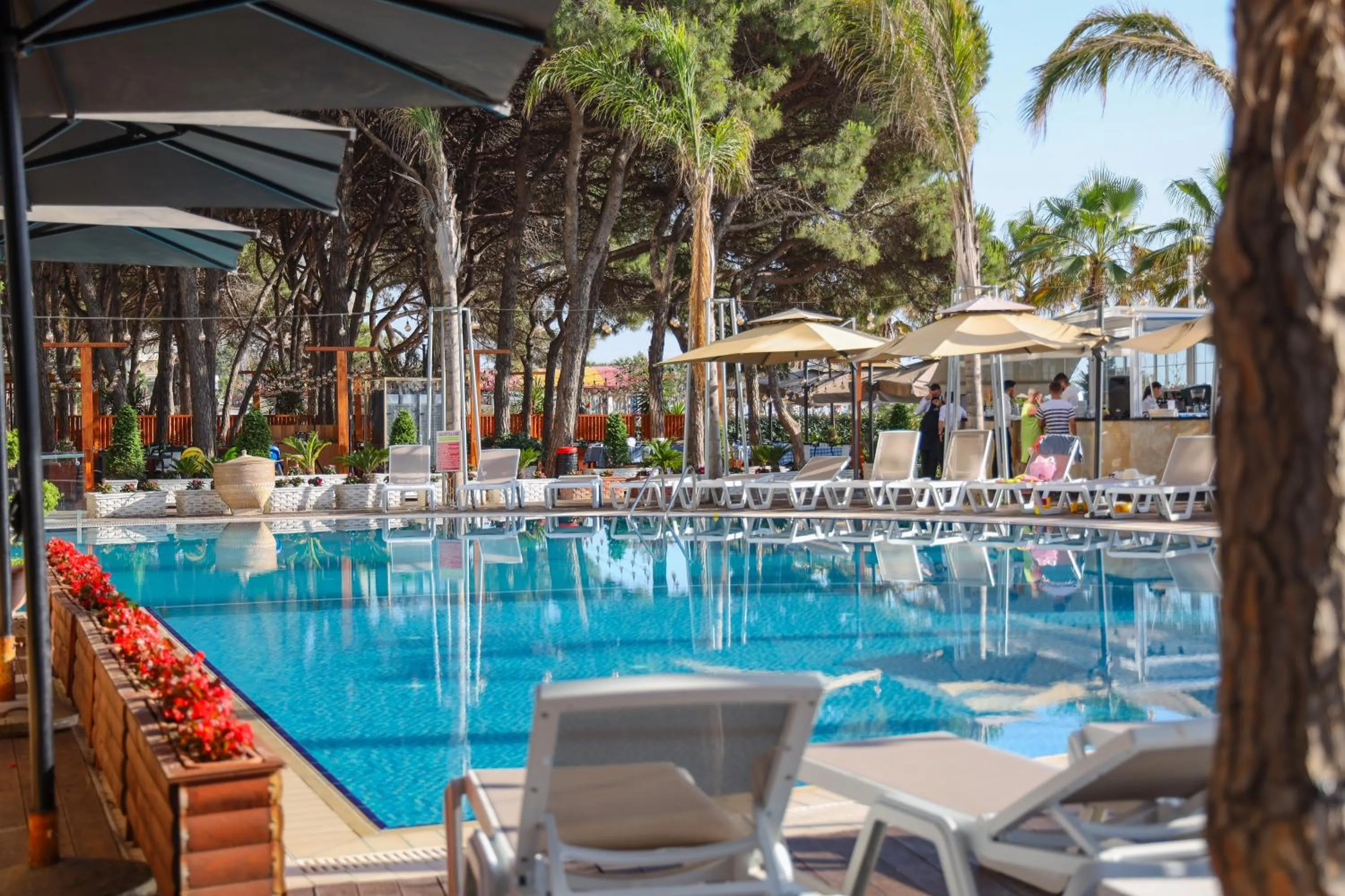 Day in VM Resort & SPA