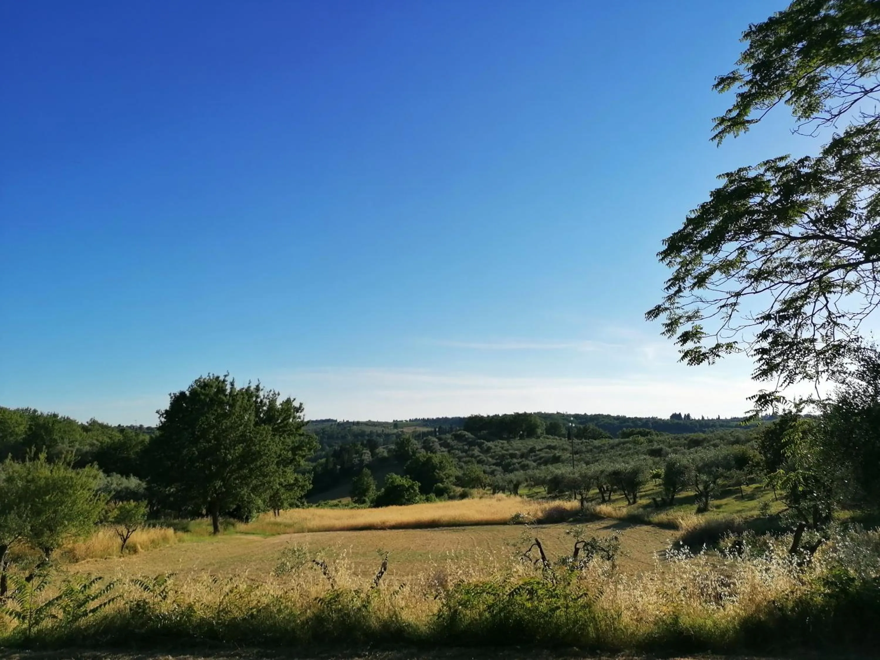 Natural landscape in Villa Moris bed and breakfast
