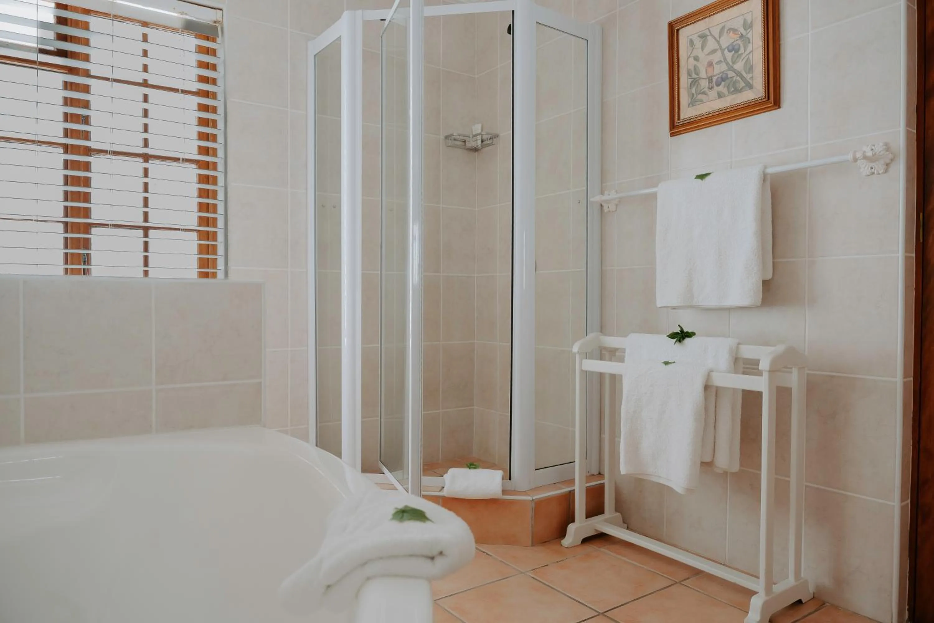 Shower in The Robberg Beach Lodge - Lion Roars Hotels & Lodges