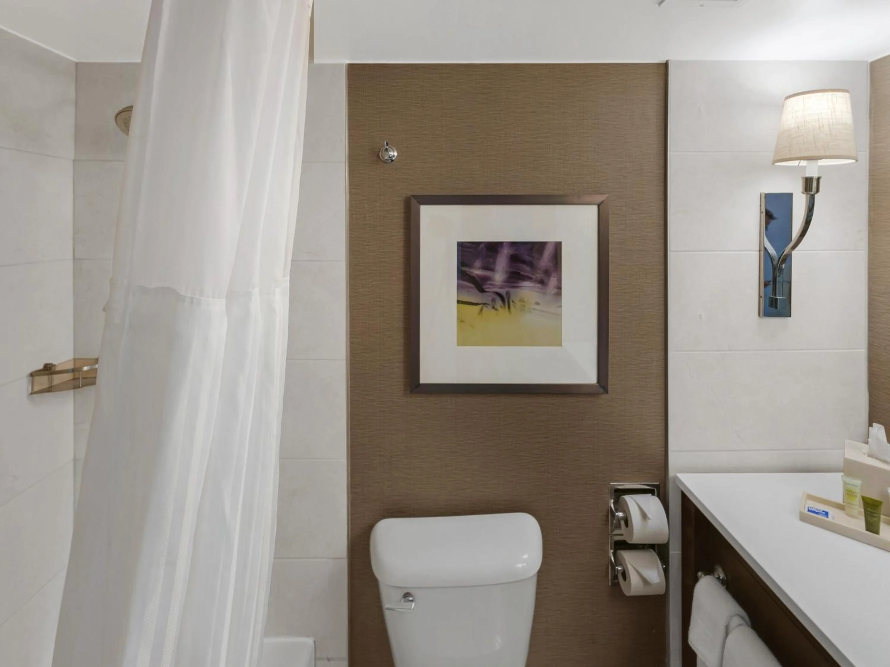 Bathroom in Hilton Harrisburg near Hershey Park