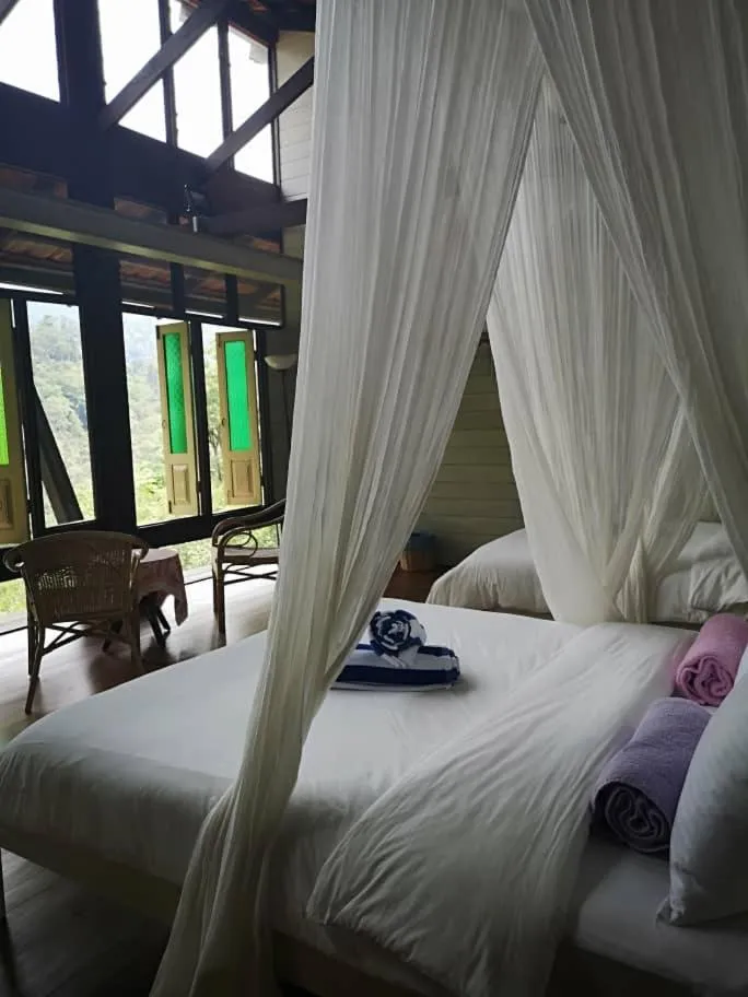 Langit Rimba Resort