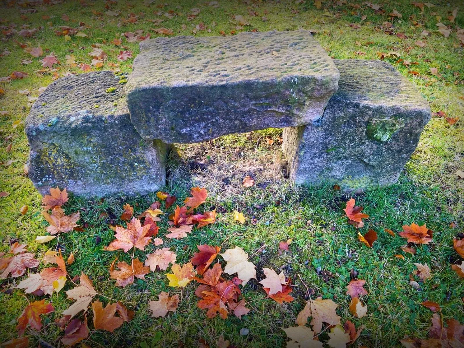 Garden view in The Speyside Hotel and Restaurant