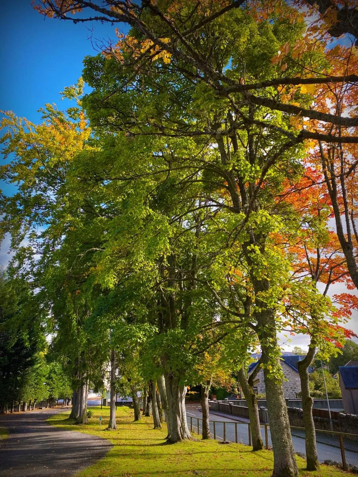 Facade/entrance in The Speyside Hotel and Restaurant