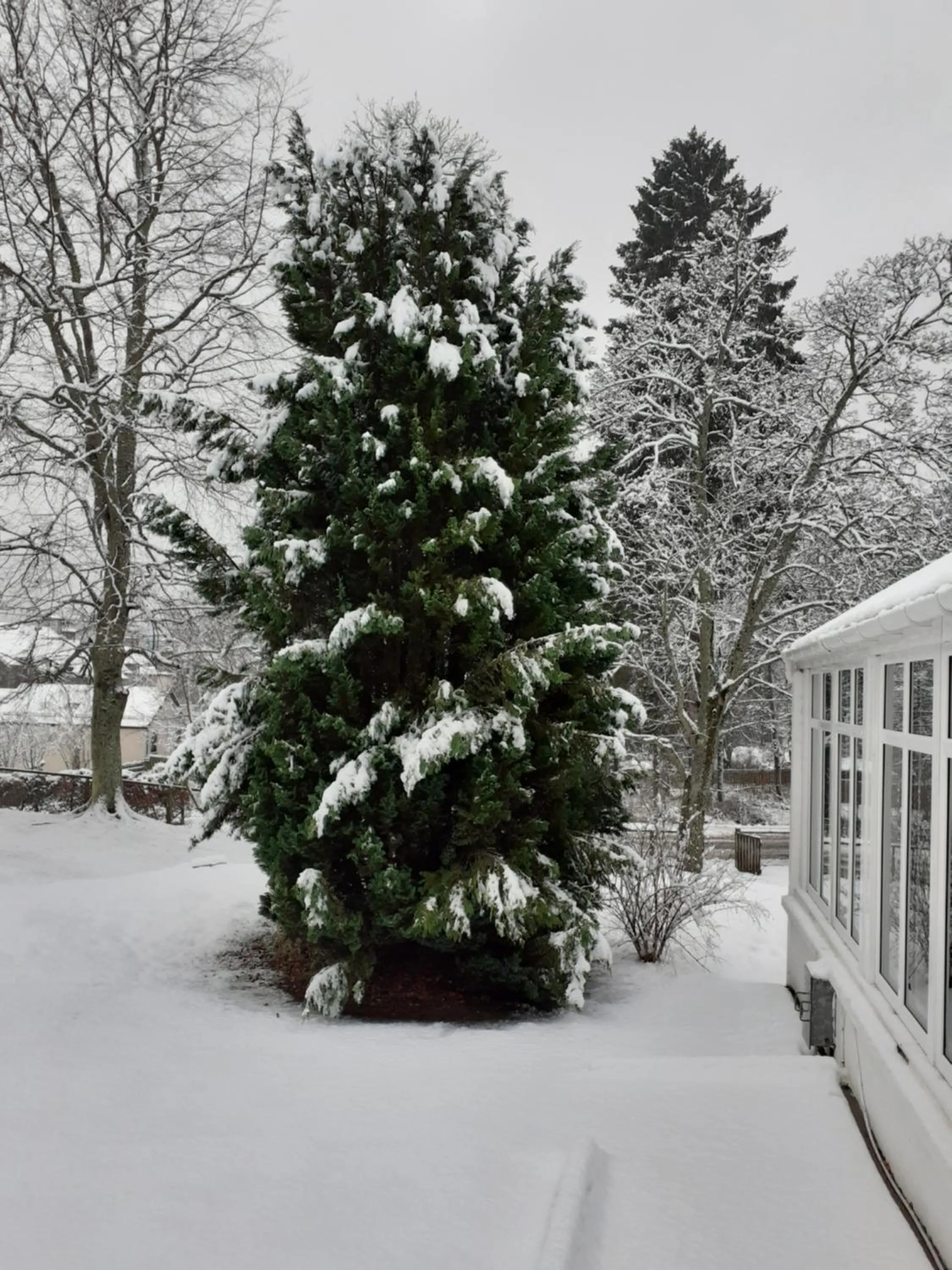 Garden in The Speyside Hotel and Restaurant