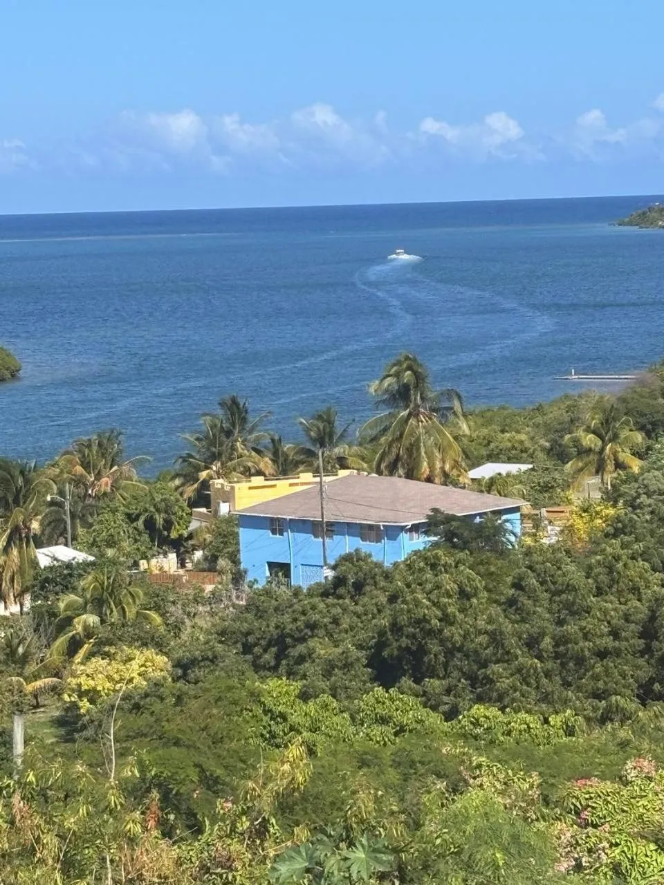Sea view in Ellen Bay Cottages
