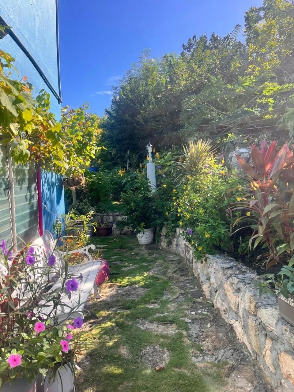 Garden in Ellen Bay Cottages
