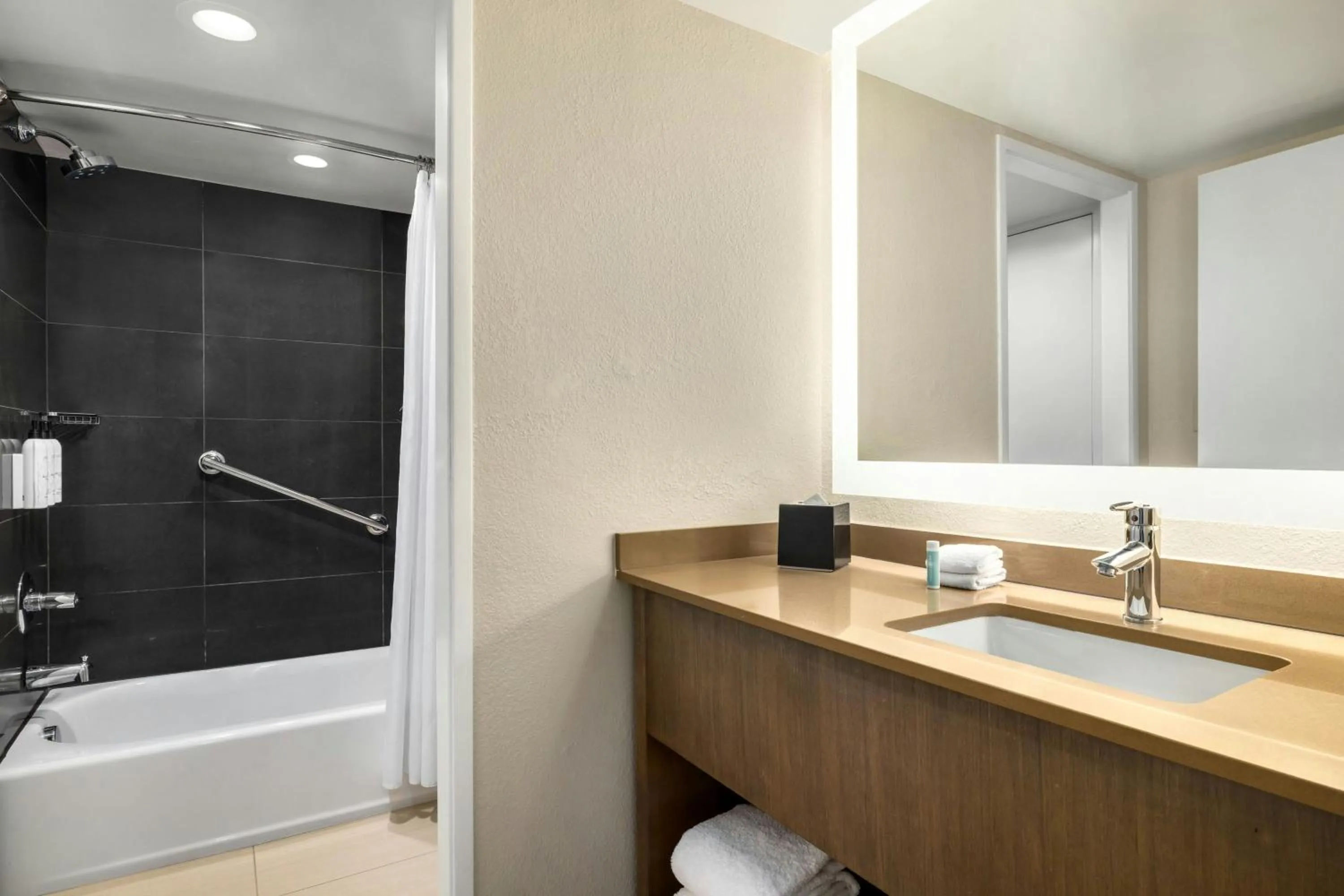 Bathroom in TownePlace Suites by Marriott Charlotte LoSo Airport