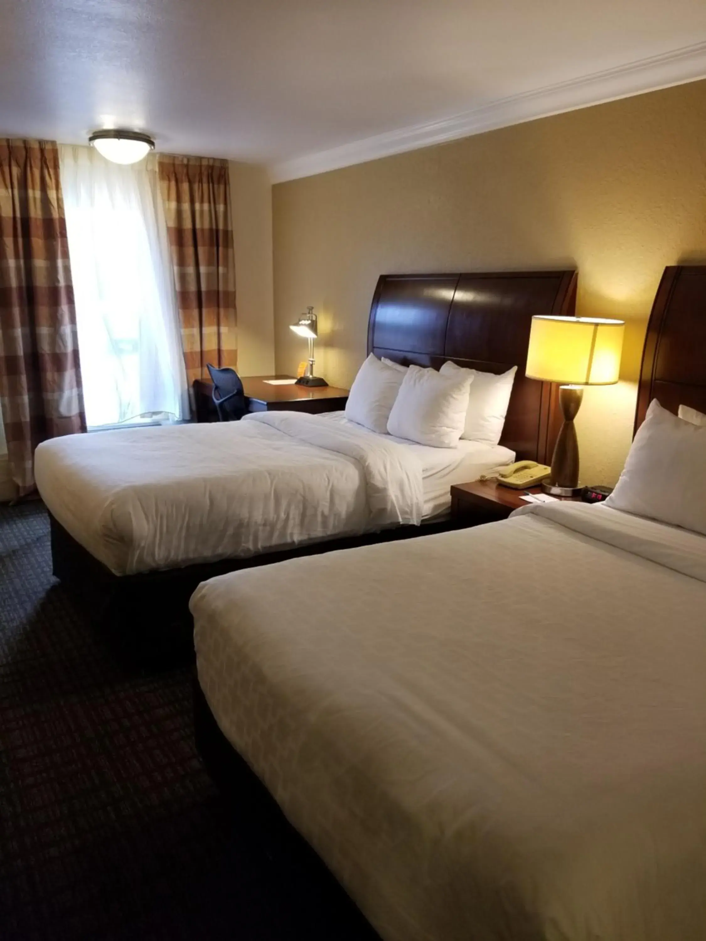 Double Room with Two Double Beds - Accessible/Non-Smoking in Clarion Inn & Suites Central Clearwater Beach Double Room with Two Double Beds - Accessible/Non-Smoking in Clarion Inn & Suites Central Clearwater Beach