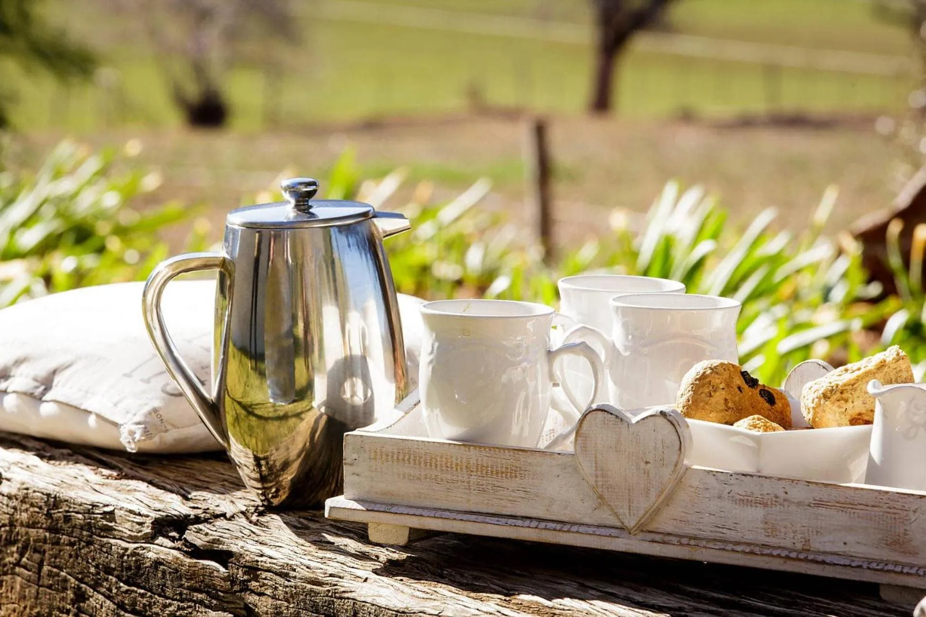 Food and drinks in Blue Lily Retreat