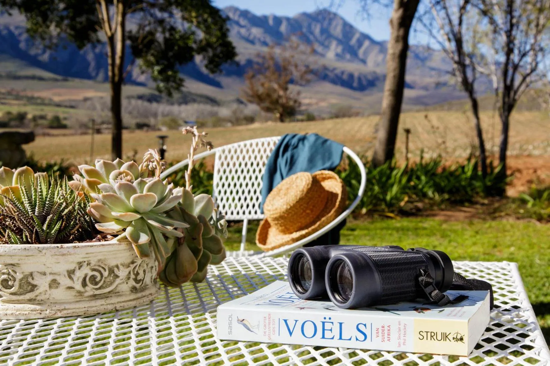 Property building in Blue Lily Retreat