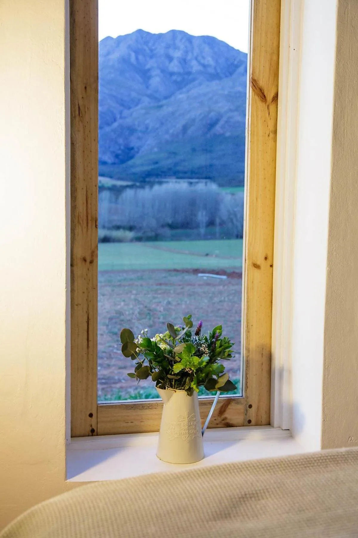 Mountain view in Blue Lily Retreat