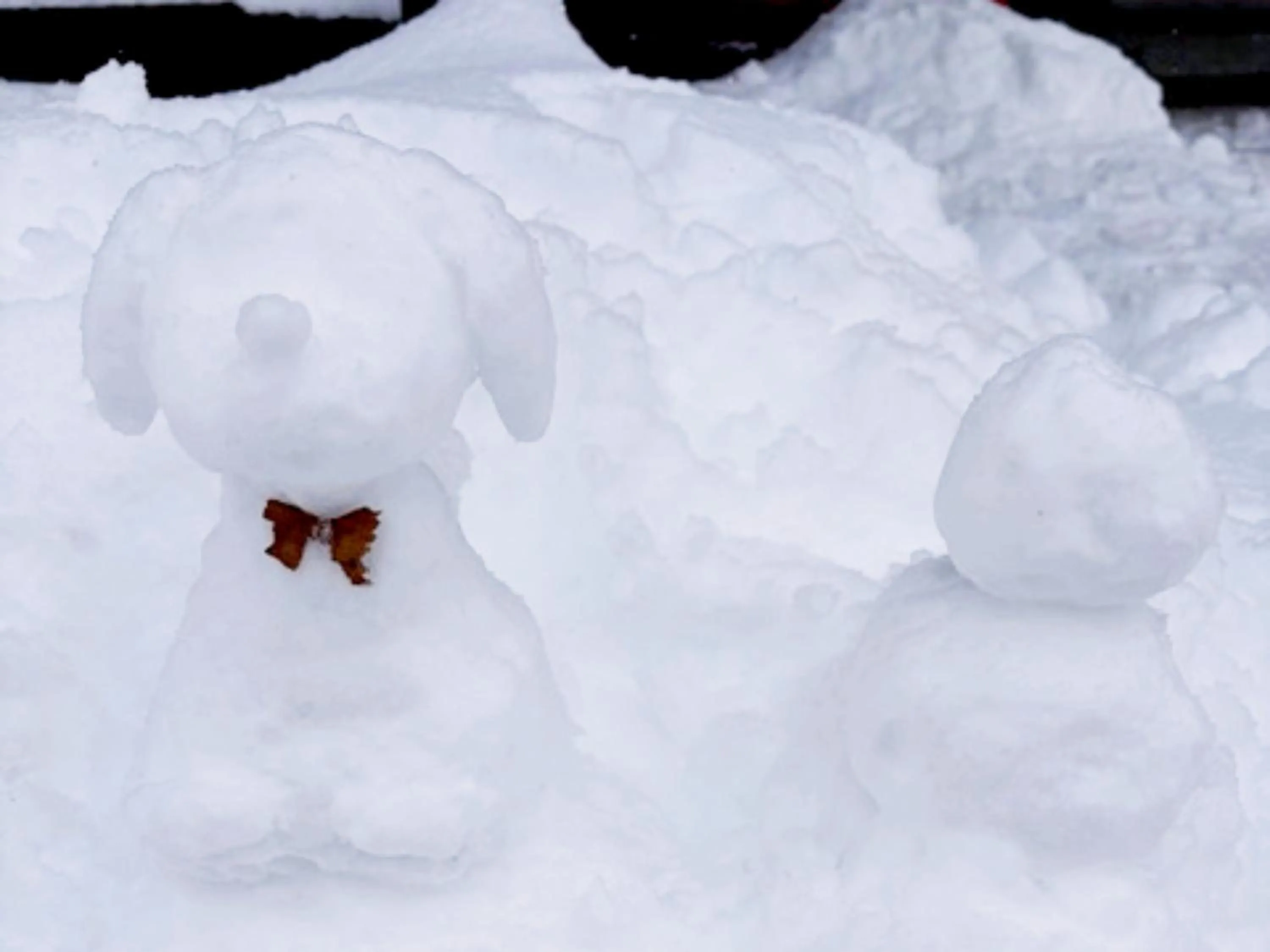 Off site in Lodge Oakland