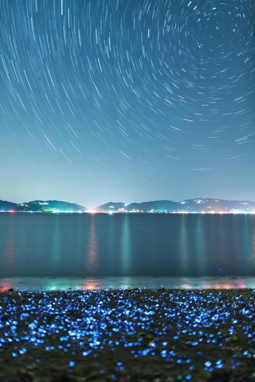 Natural landscape in Hotel Limani