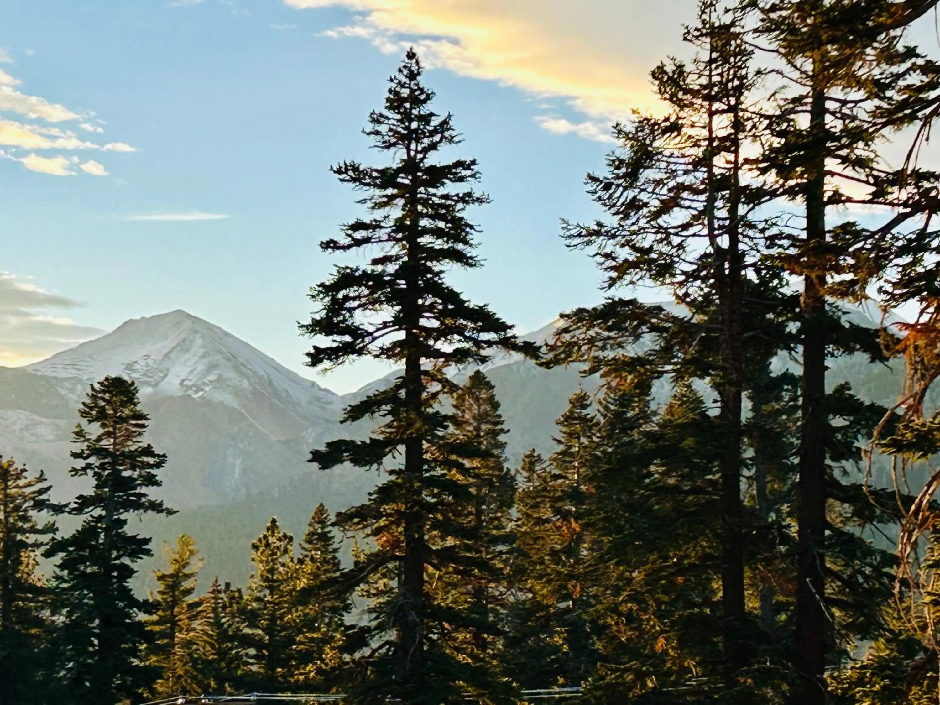 Other in Mountainback 116 LoftCorner