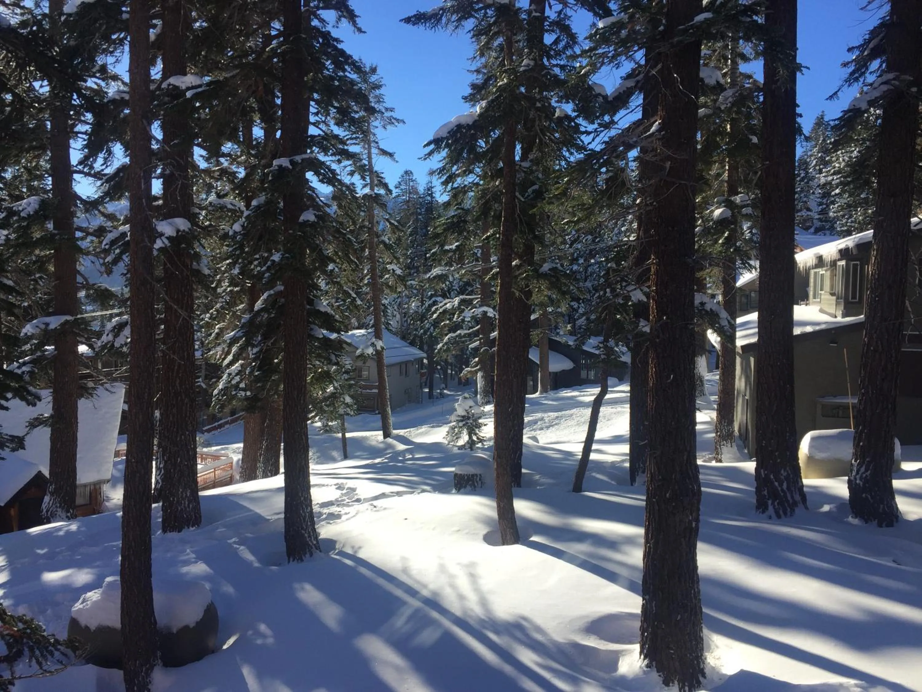 Other in Mountainback 116 LoftCorner