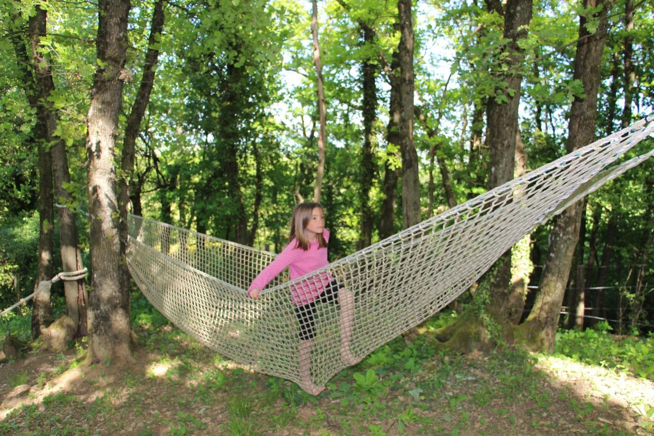 Entertainment in Domaine Insolite du Petit Moras