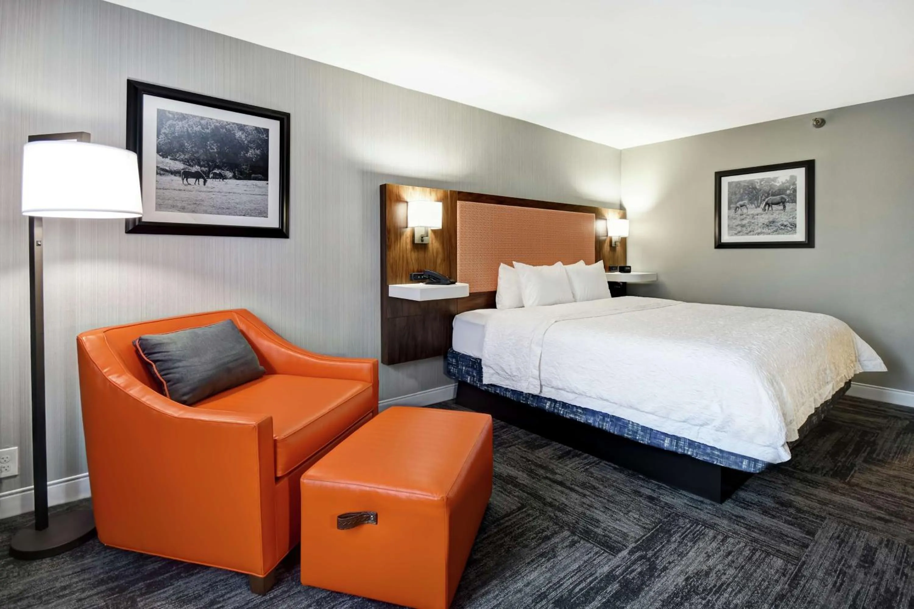 Photo of the whole room, Bed in Hampton Inn Lexington I-75