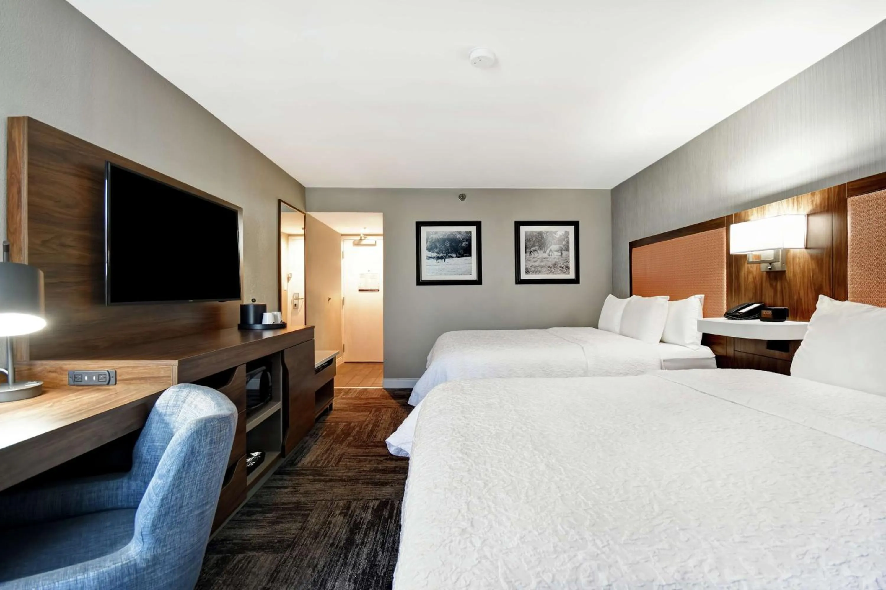 Photo of the whole room, Bed in Hampton Inn Lexington I-75