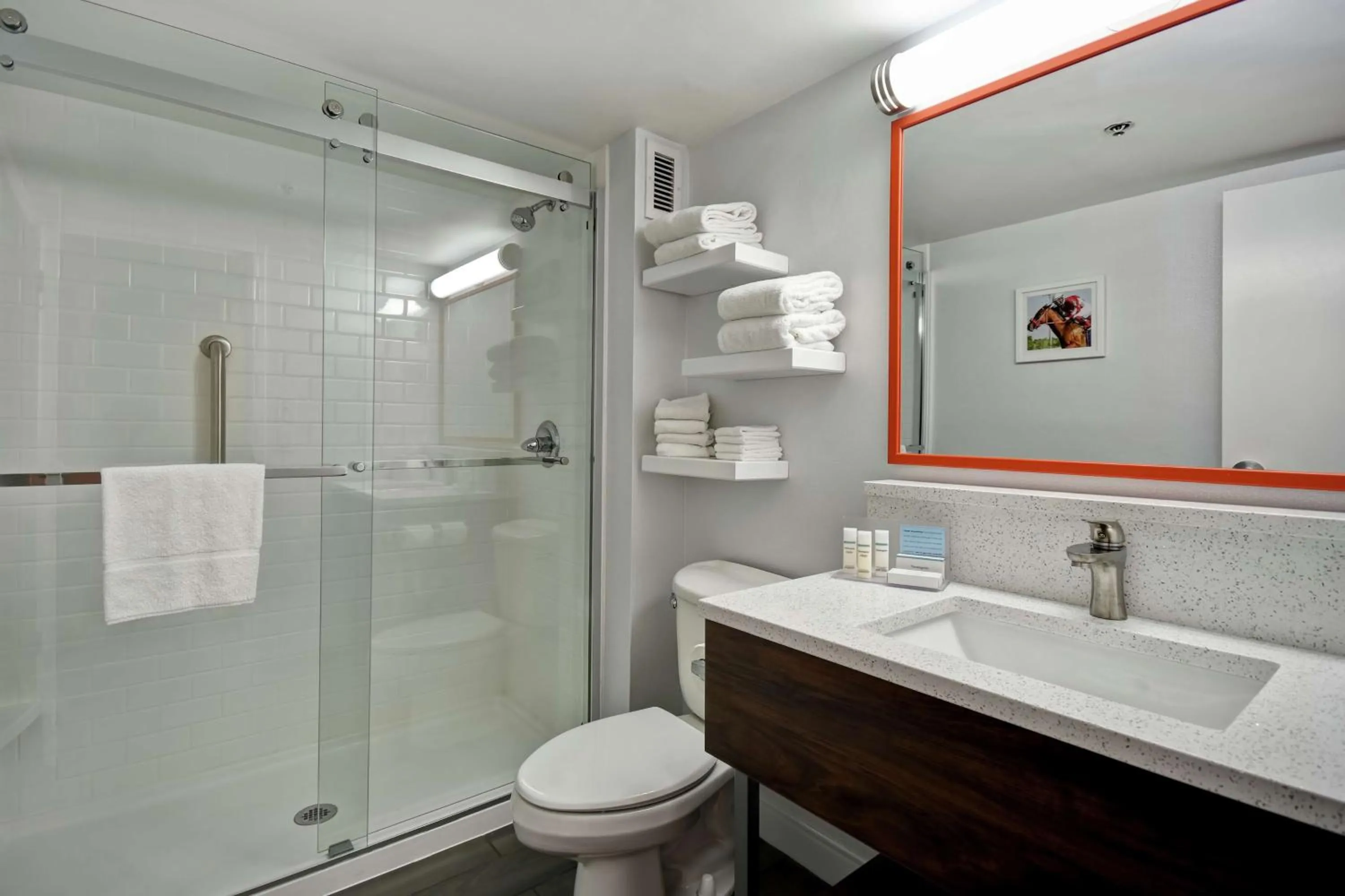 Bathroom in Hampton Inn Lexington I-75