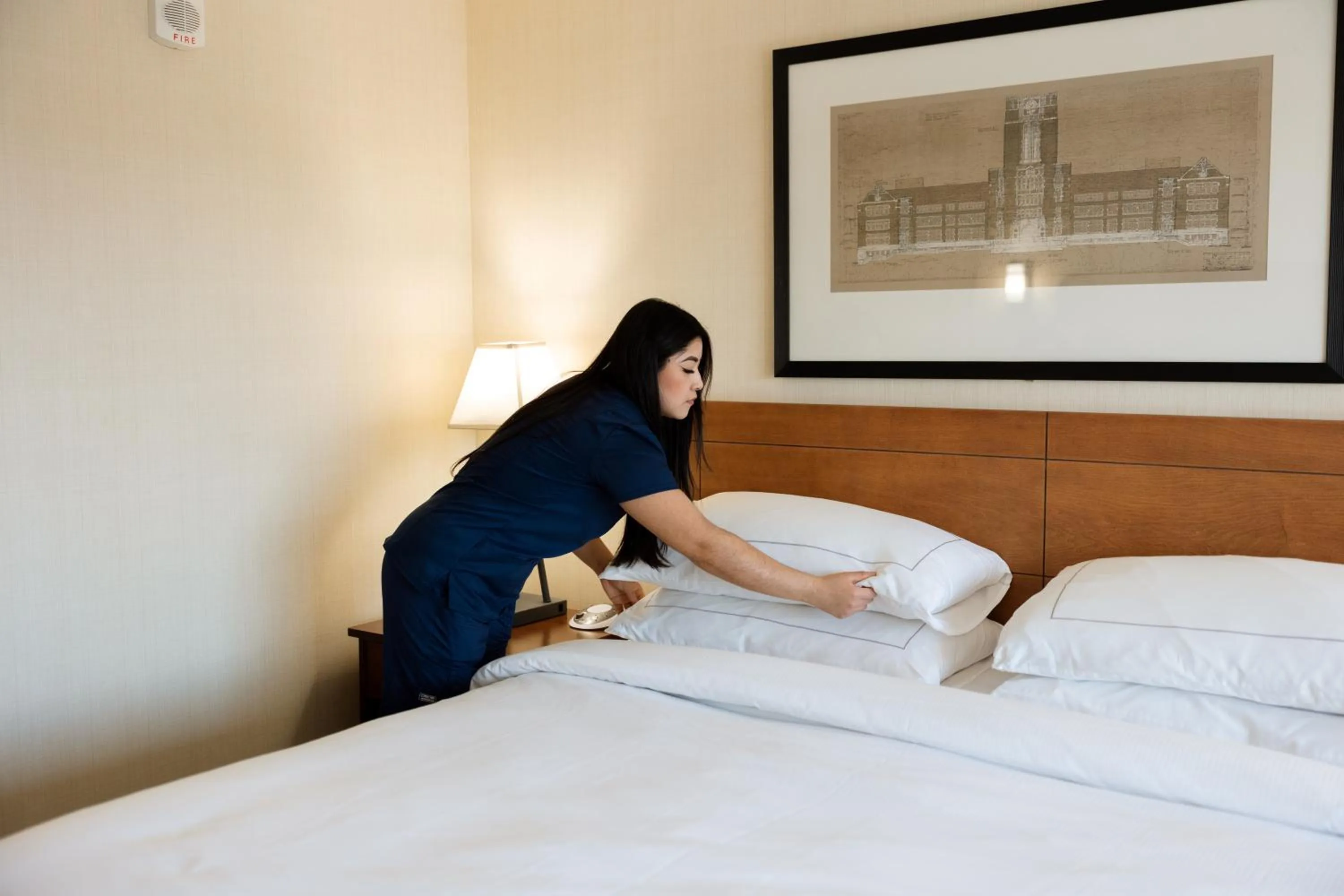 Bed in Hilton Knoxville