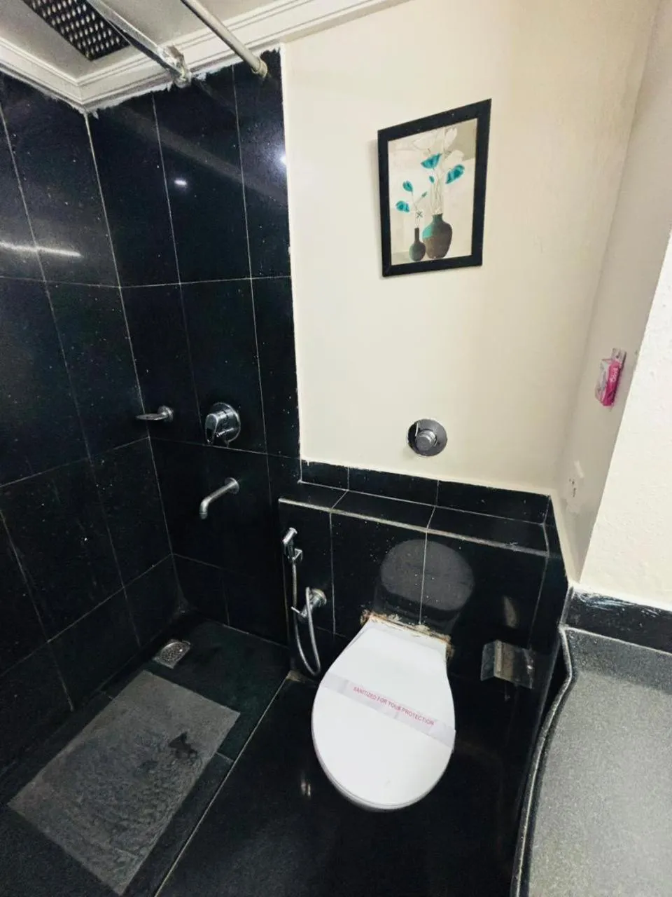 Shower in Hotel Dr Rajkumar International