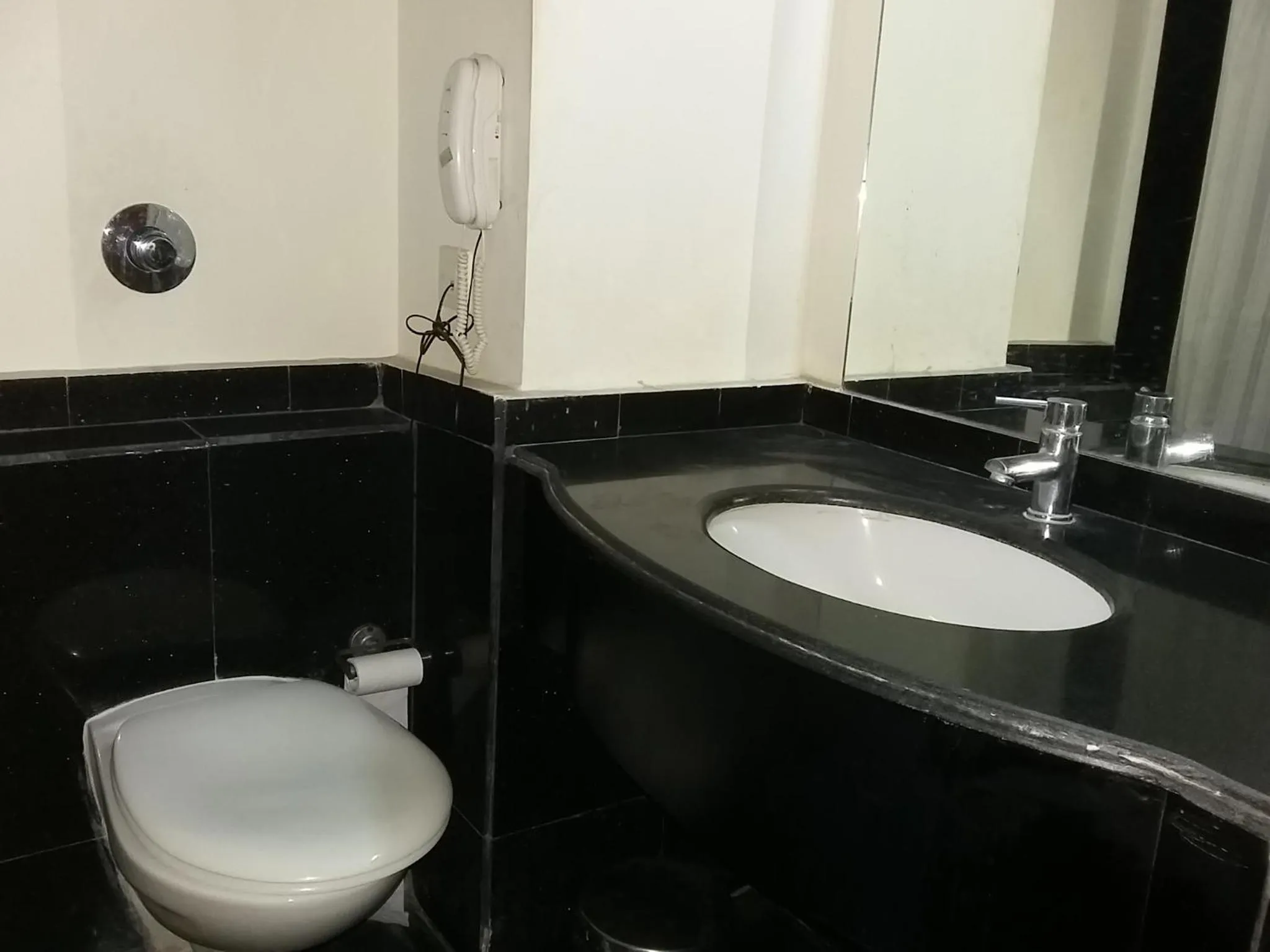 Toilet in Hotel Dr Rajkumar International