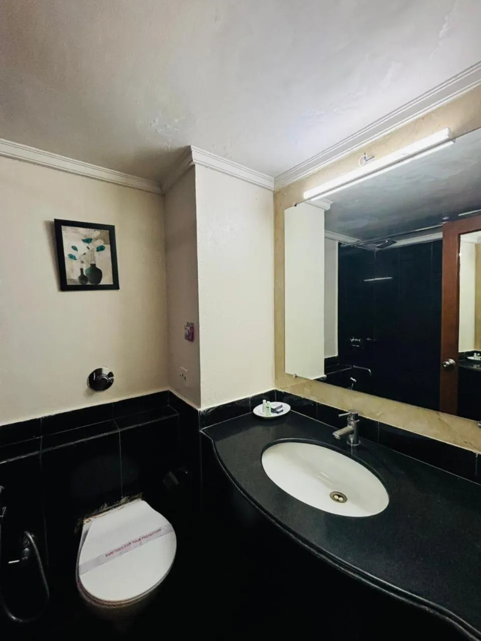 Bathroom in Hotel Dr Rajkumar International