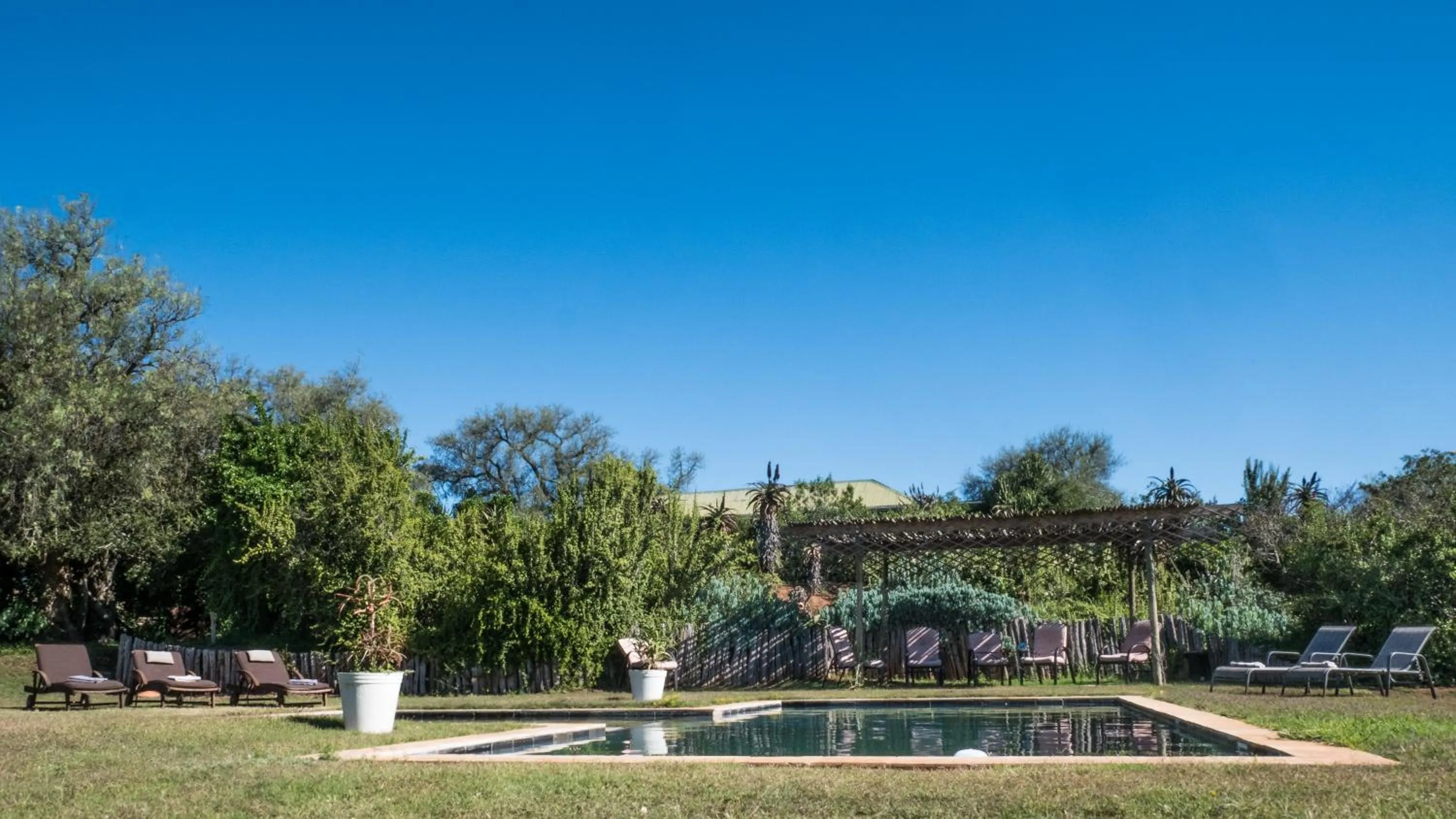 Leeuwenbosch Country House - Amakhala Game Reserve