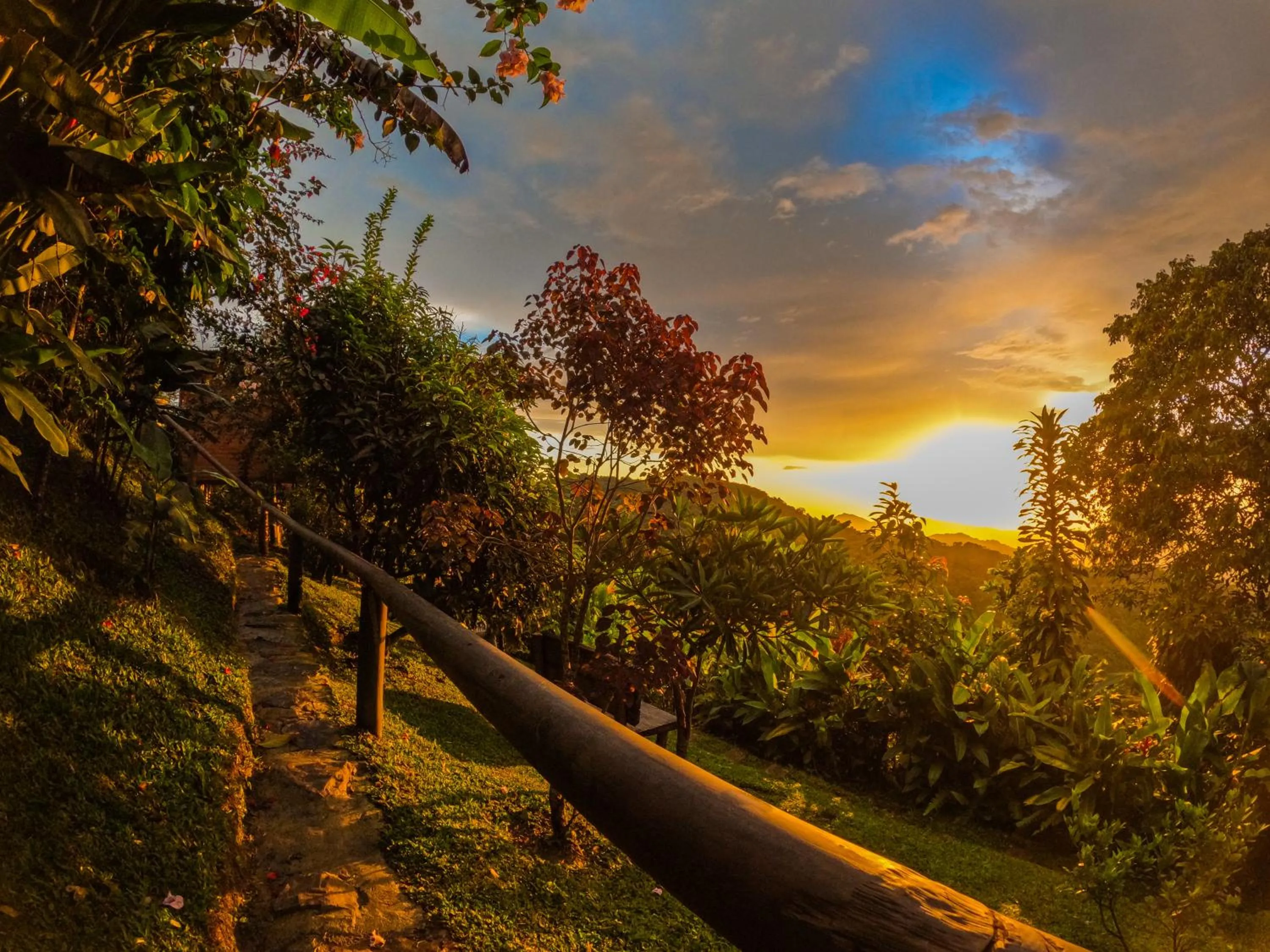 Natural landscape in Loma Nevada Minca Hotel
