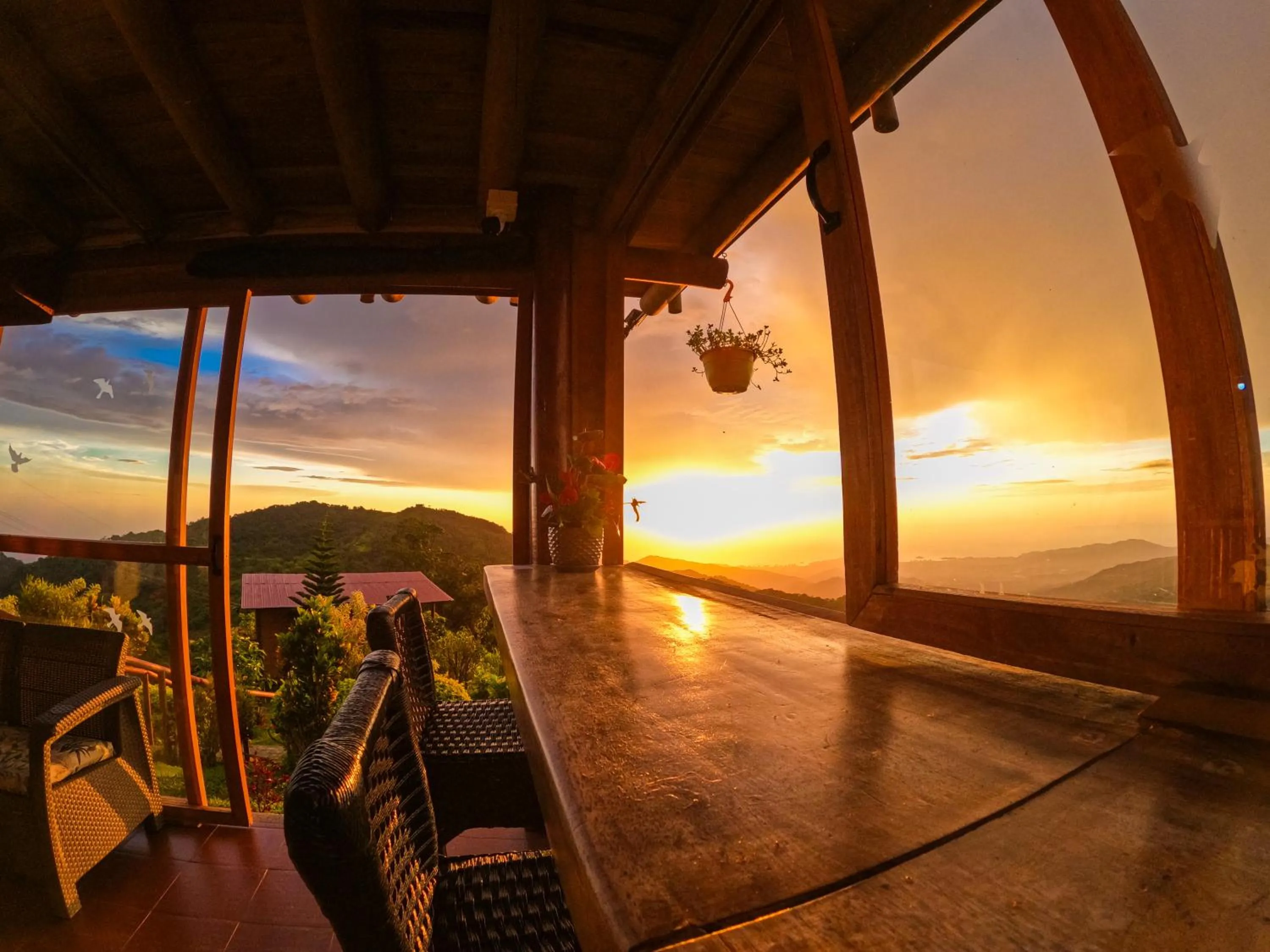 View (from property/room) in Loma Nevada Minca Hotel