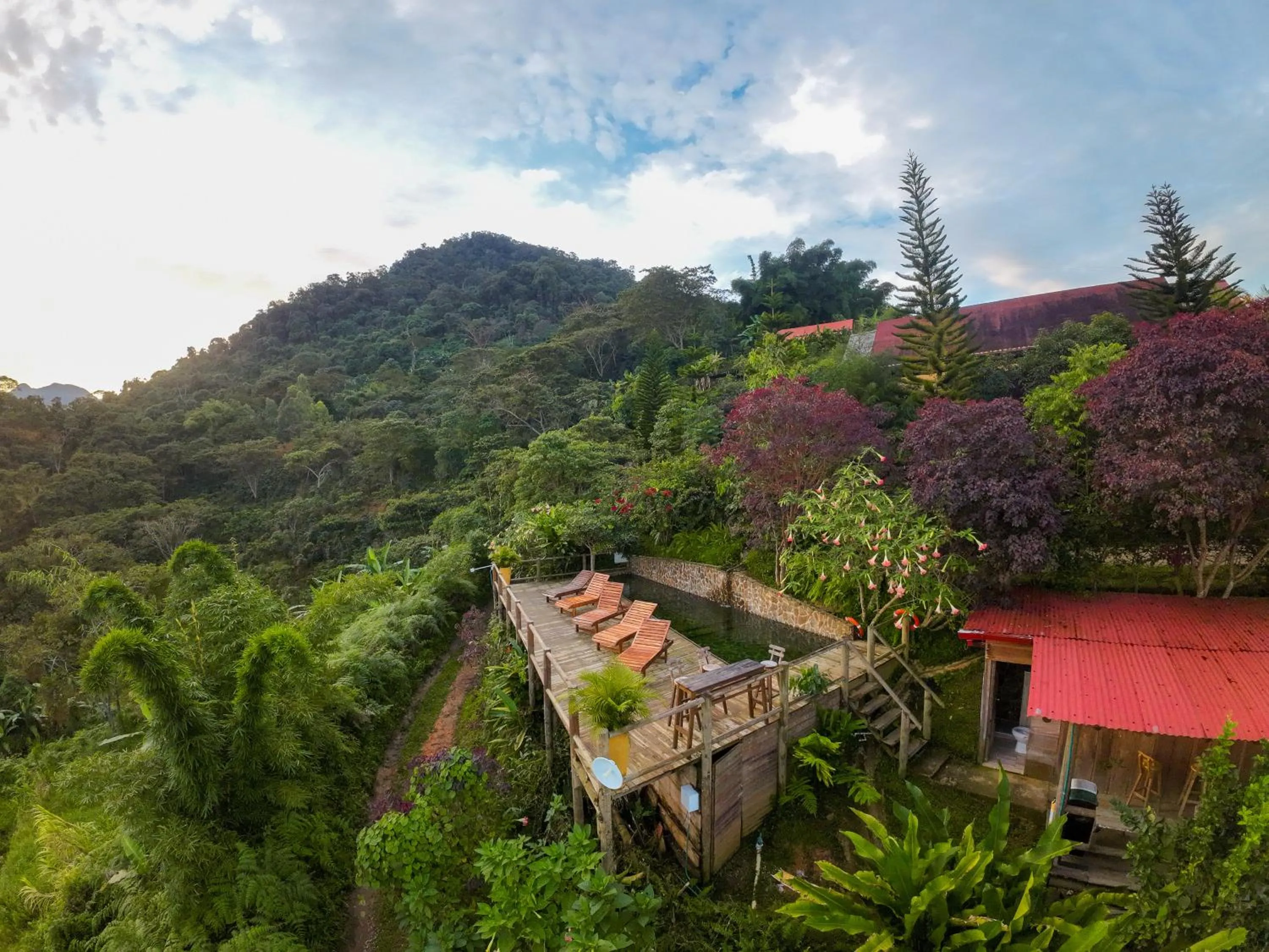 Mountain view in Loma Nevada Minca Hotel