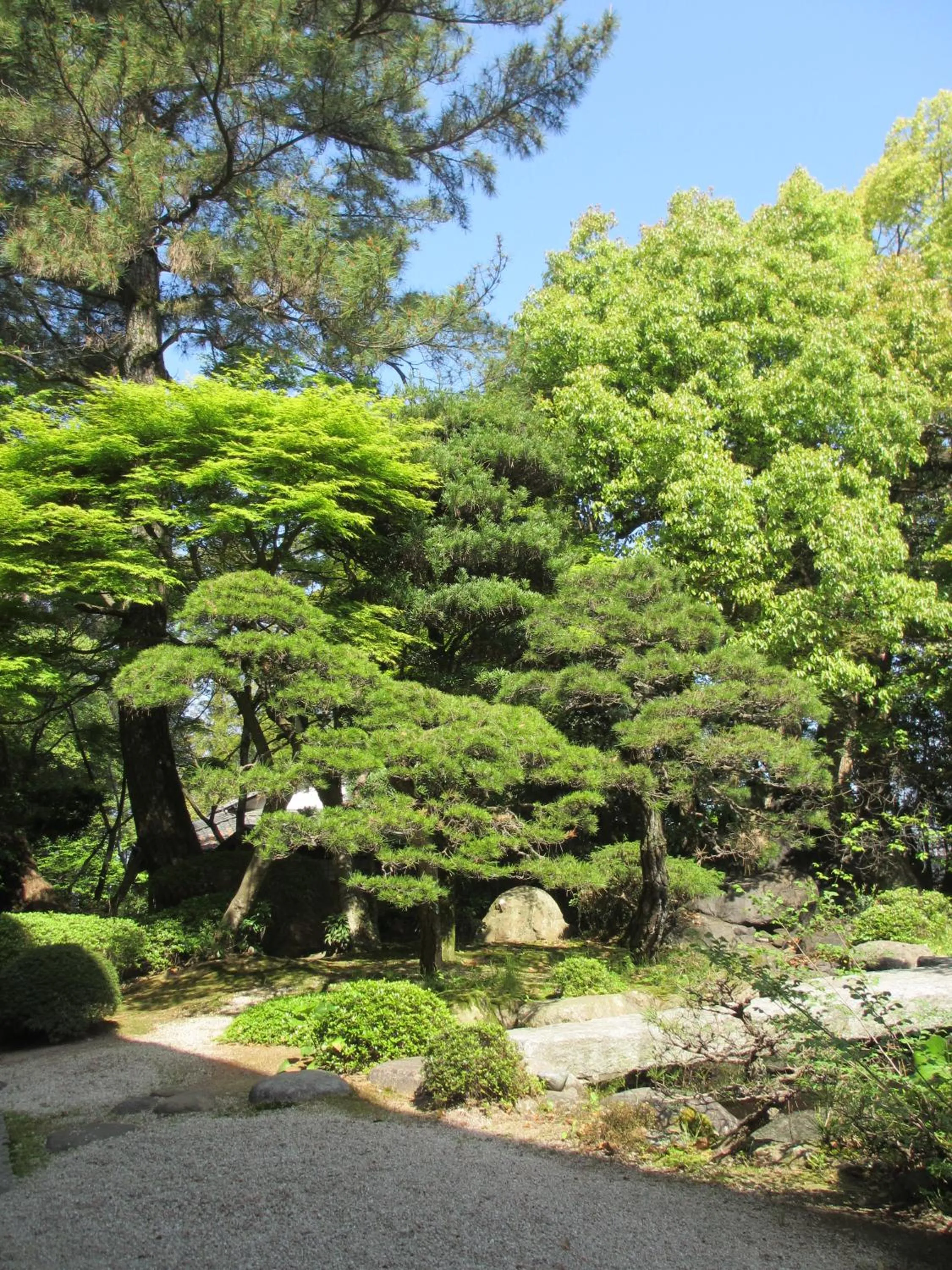 Garden in Hotel Takeshi Sanso