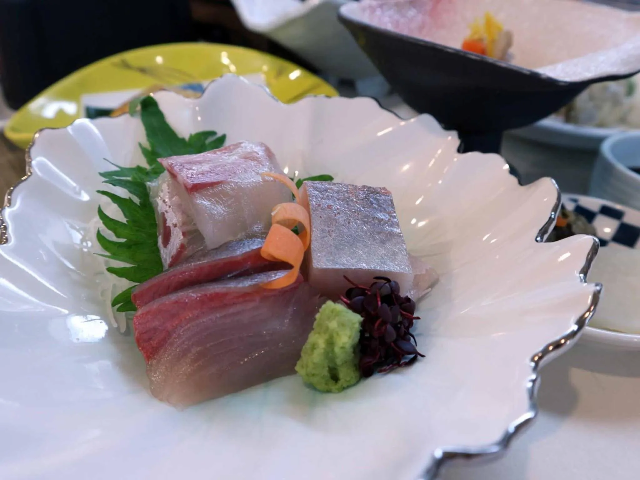 Dinner in Hotel Takeshi Sanso