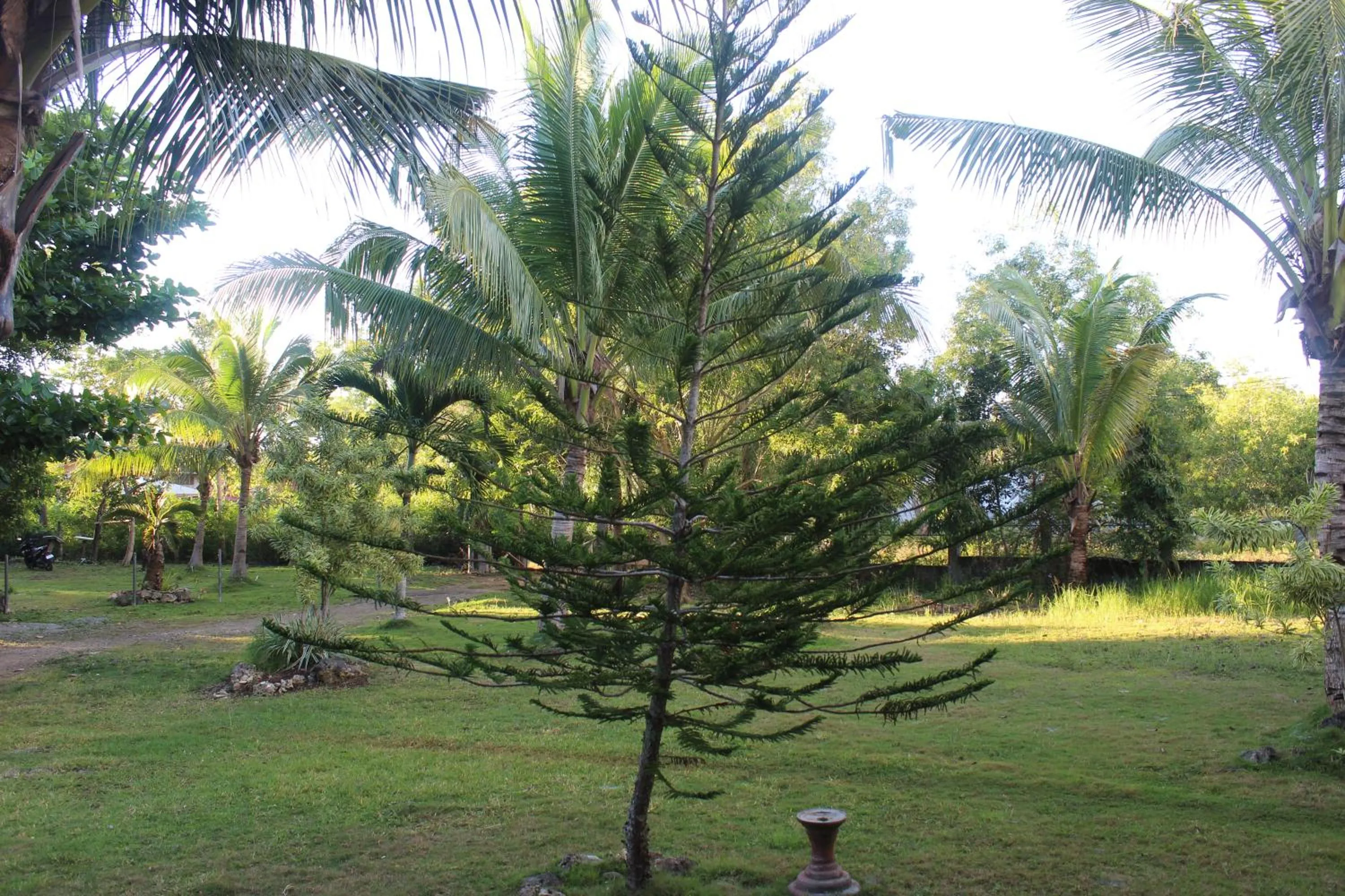 Garden view in Walkerz Inn