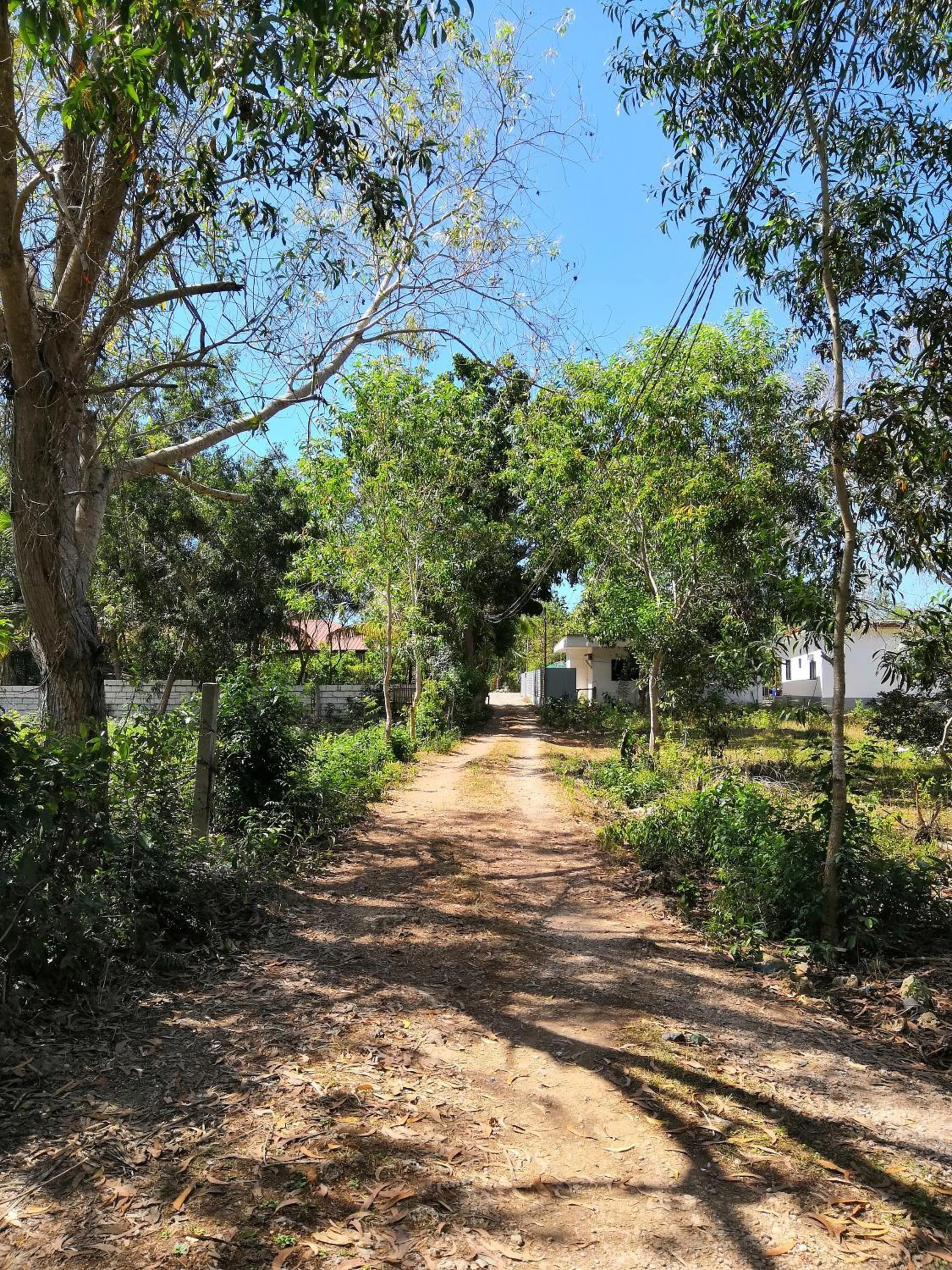 Street view in Walkerz Inn