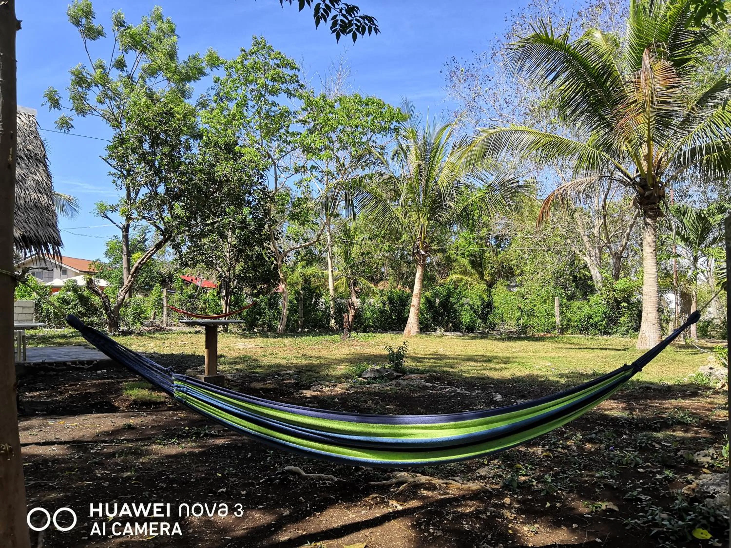 Garden in Walkerz Inn