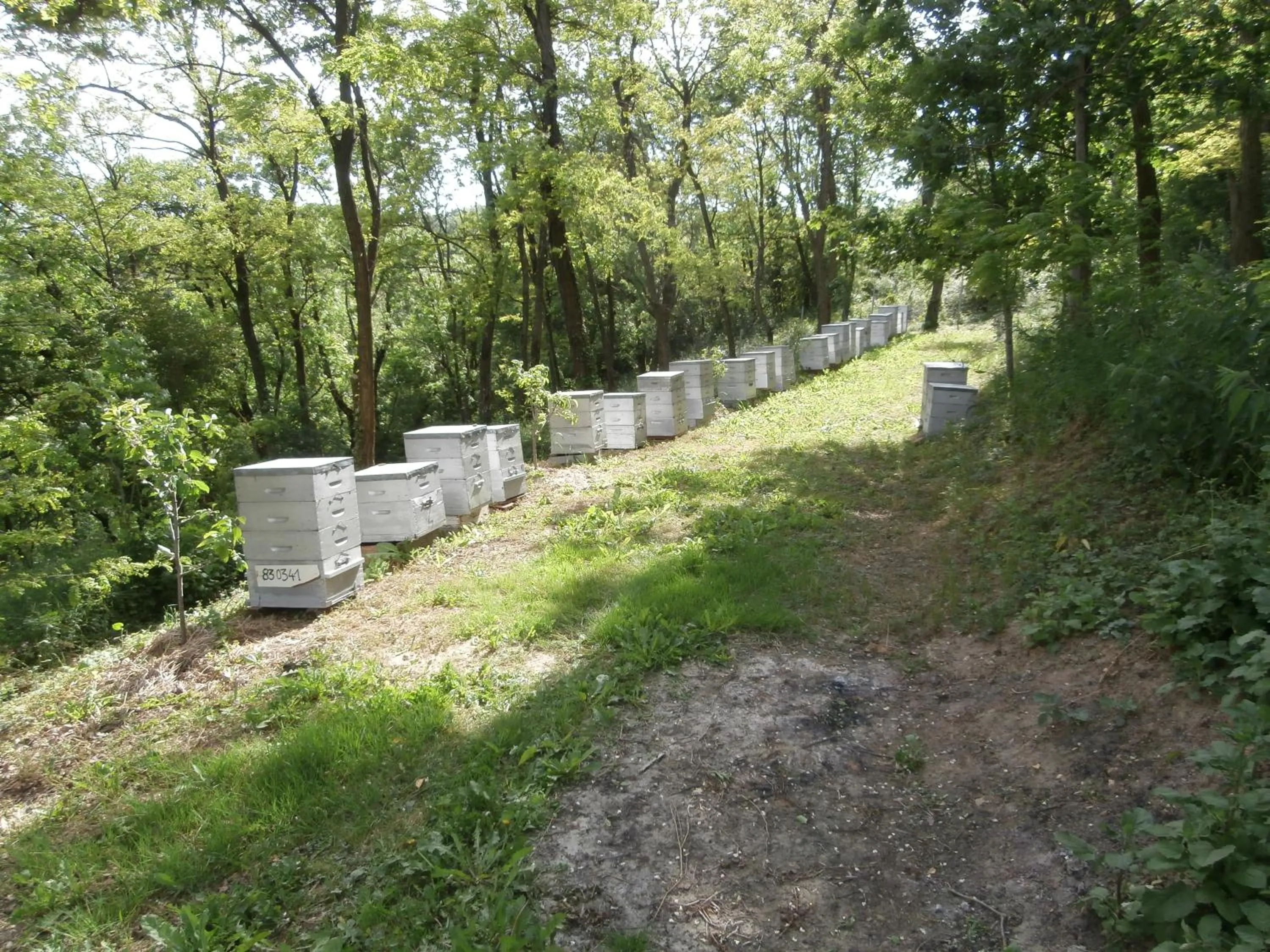 Other in La Villa du Rhône