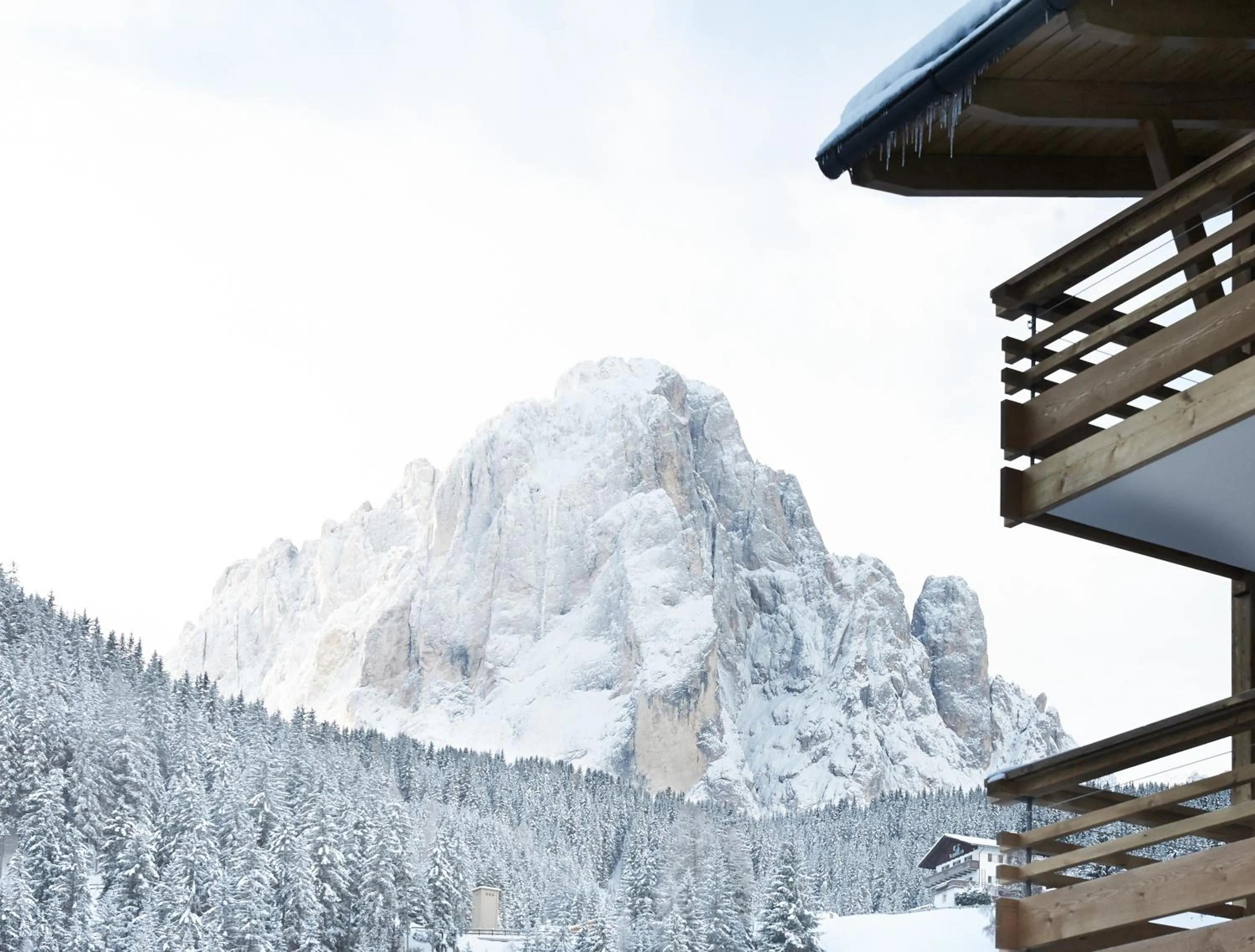 Natural landscape in ArtHotel Anterleghes - Gardenahotels