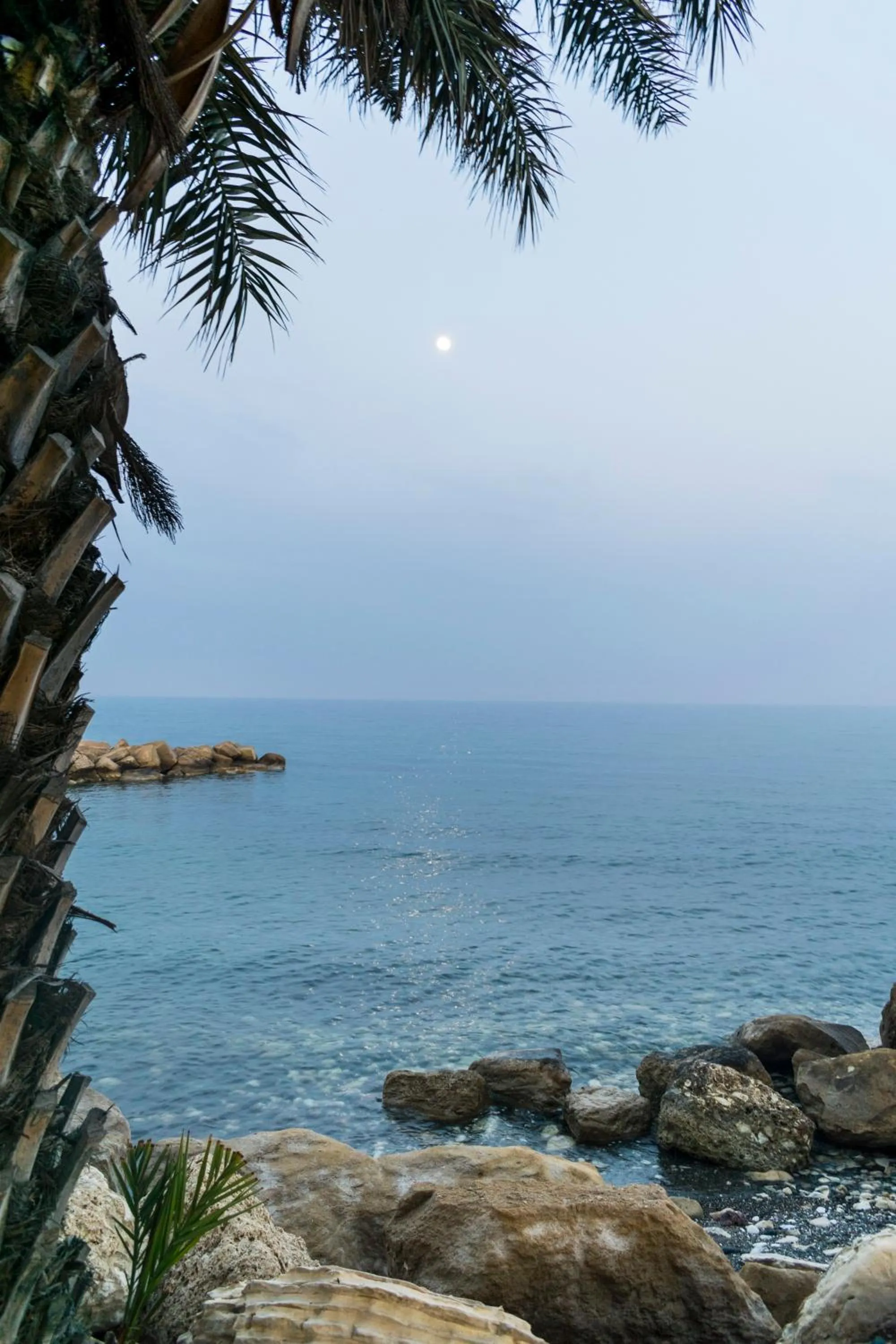 Beach in Elya Beach Luxury Suites