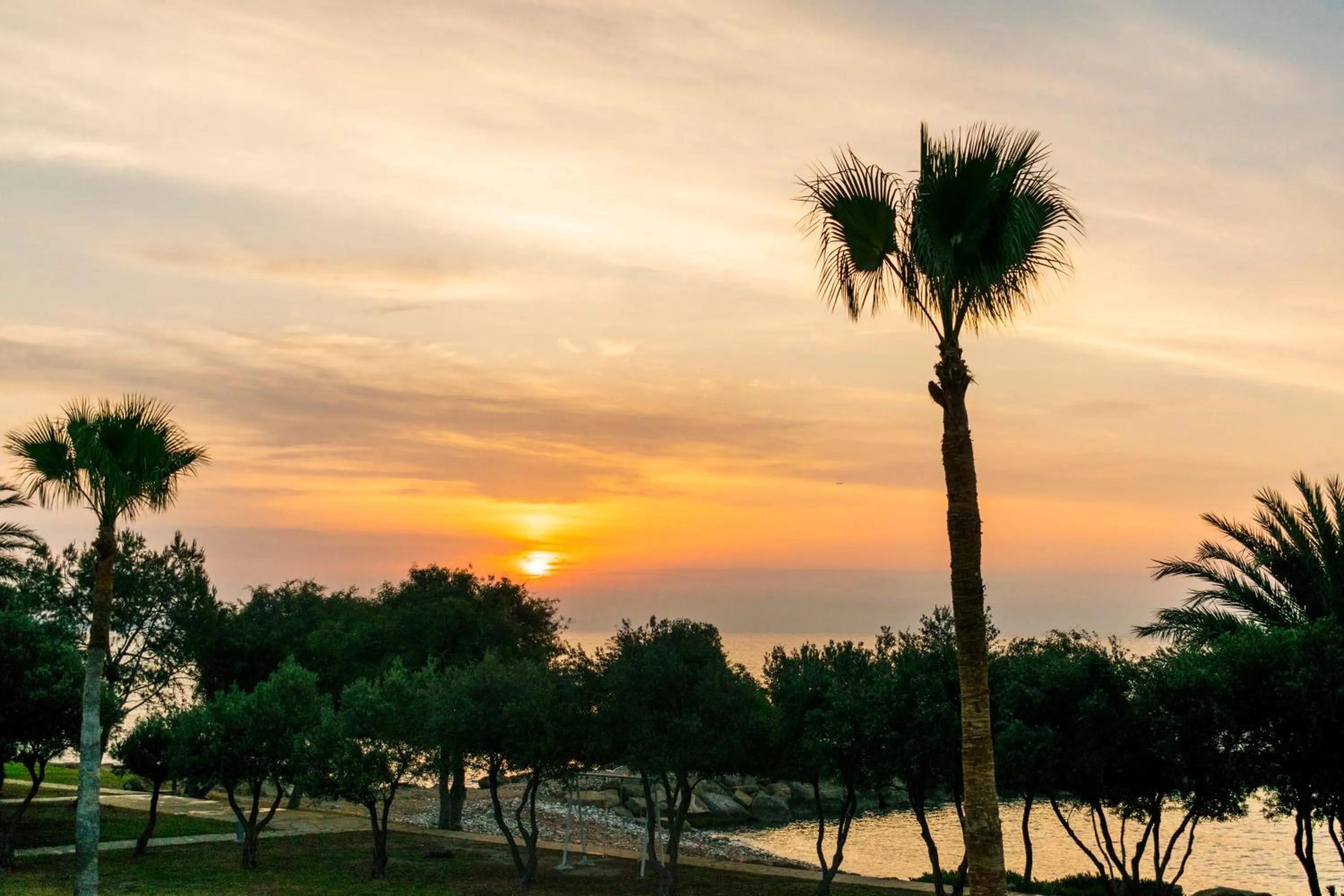 Beach in Elya Beach Luxury Suites